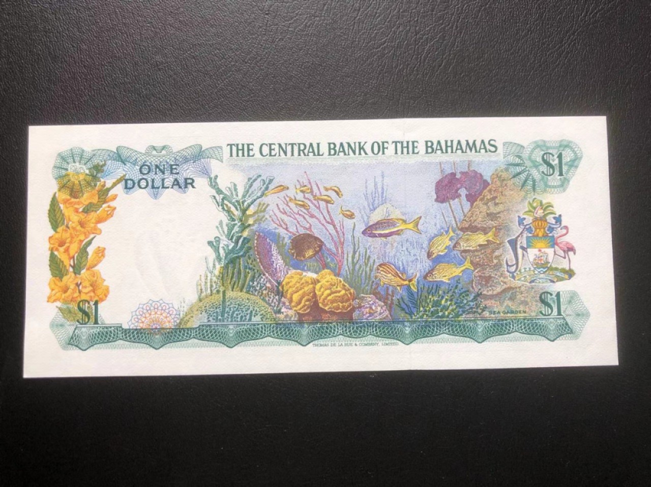 【Blue Auction】✨世界纸币精拍第213期 【精】 巴哈马 1974年1元 彩背 全新UNC