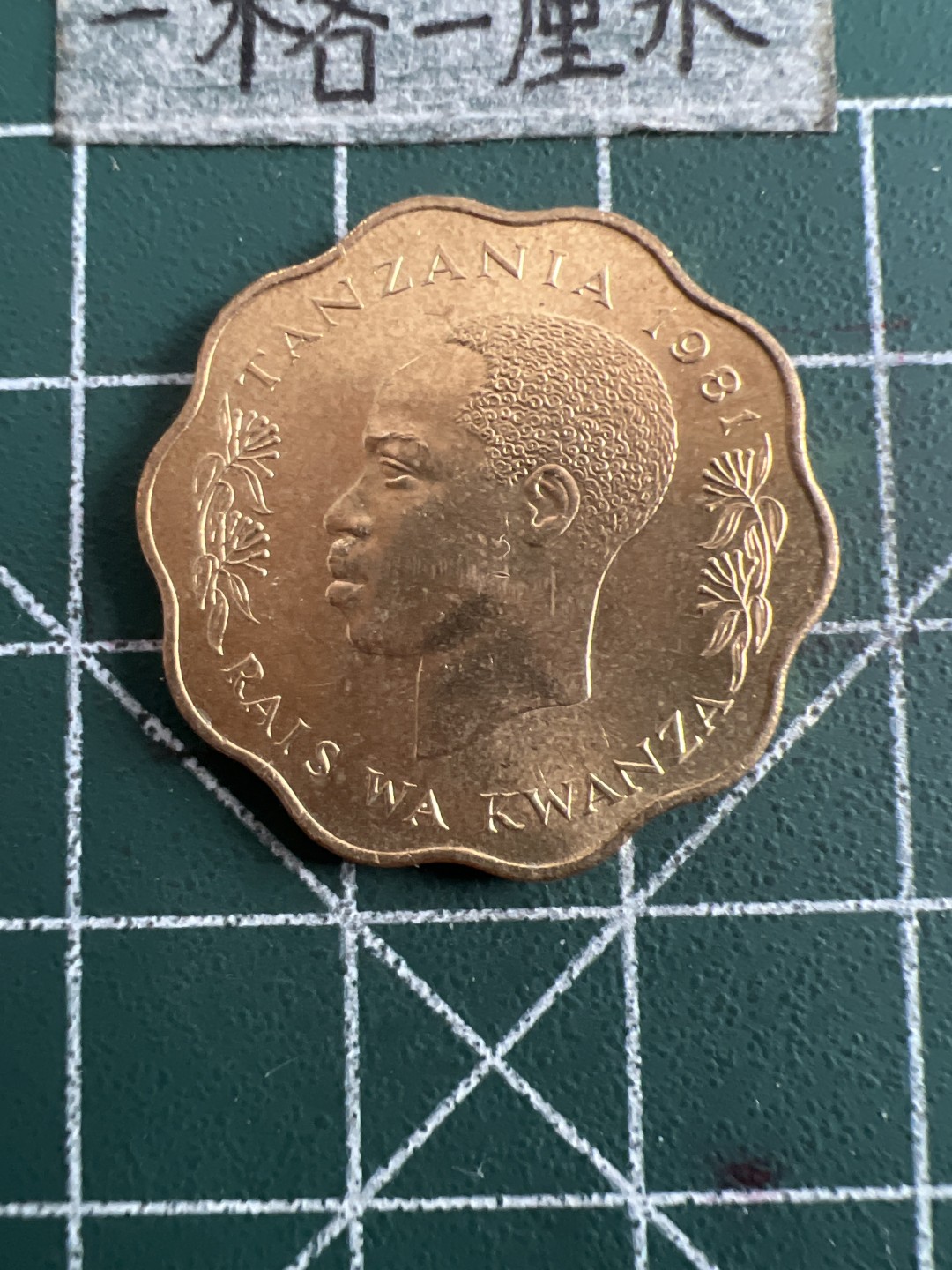 泡泡堂第六十三期  世界硬币纸币专场（无押金，无佣金，捡漏，全场20包邮，偏远地区除外） 坦桑尼亚全新