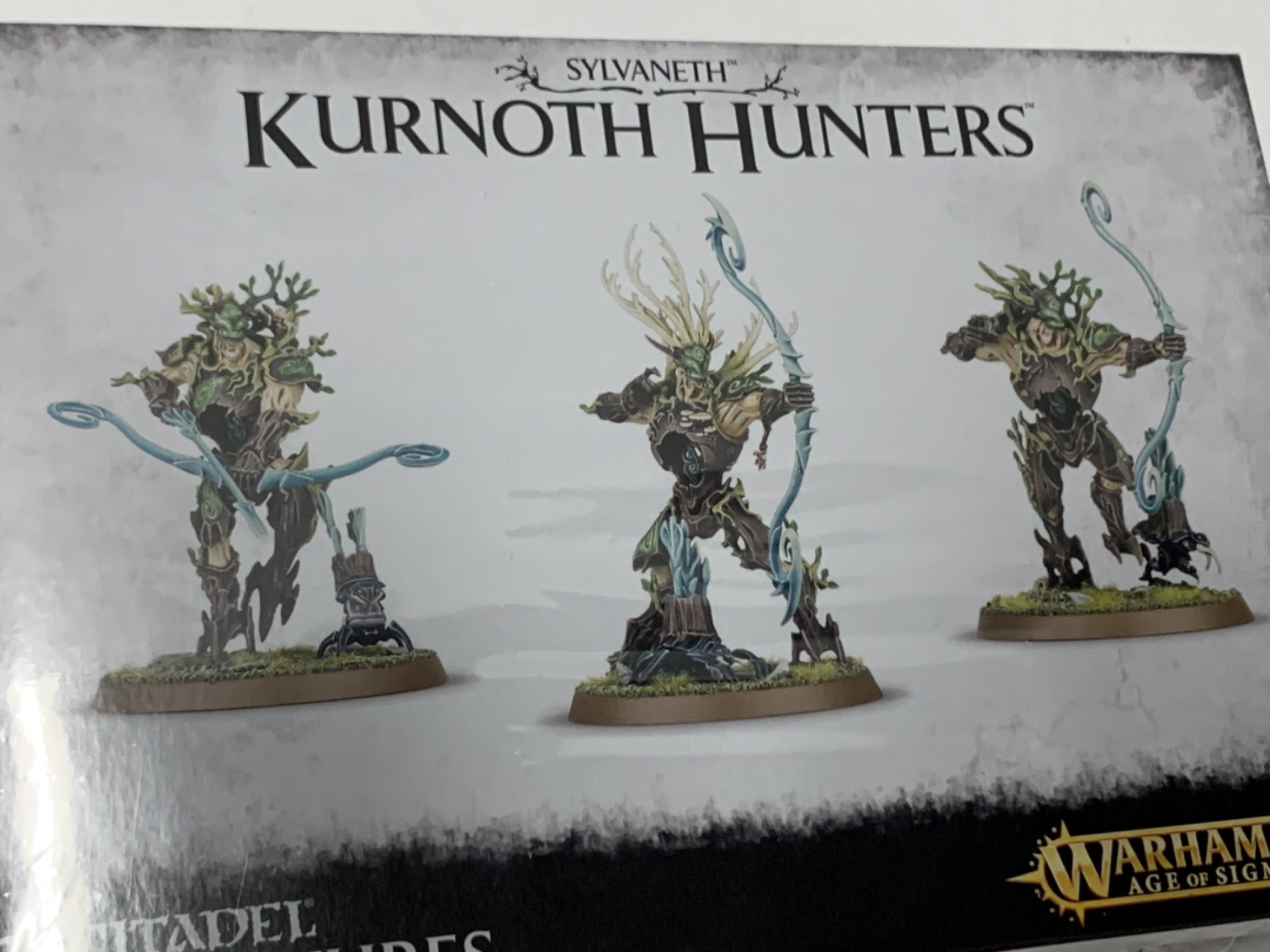 零元拍：战锤 AOS 树人 猎手 Kurnoth Hunters全新未拆，英国原产。