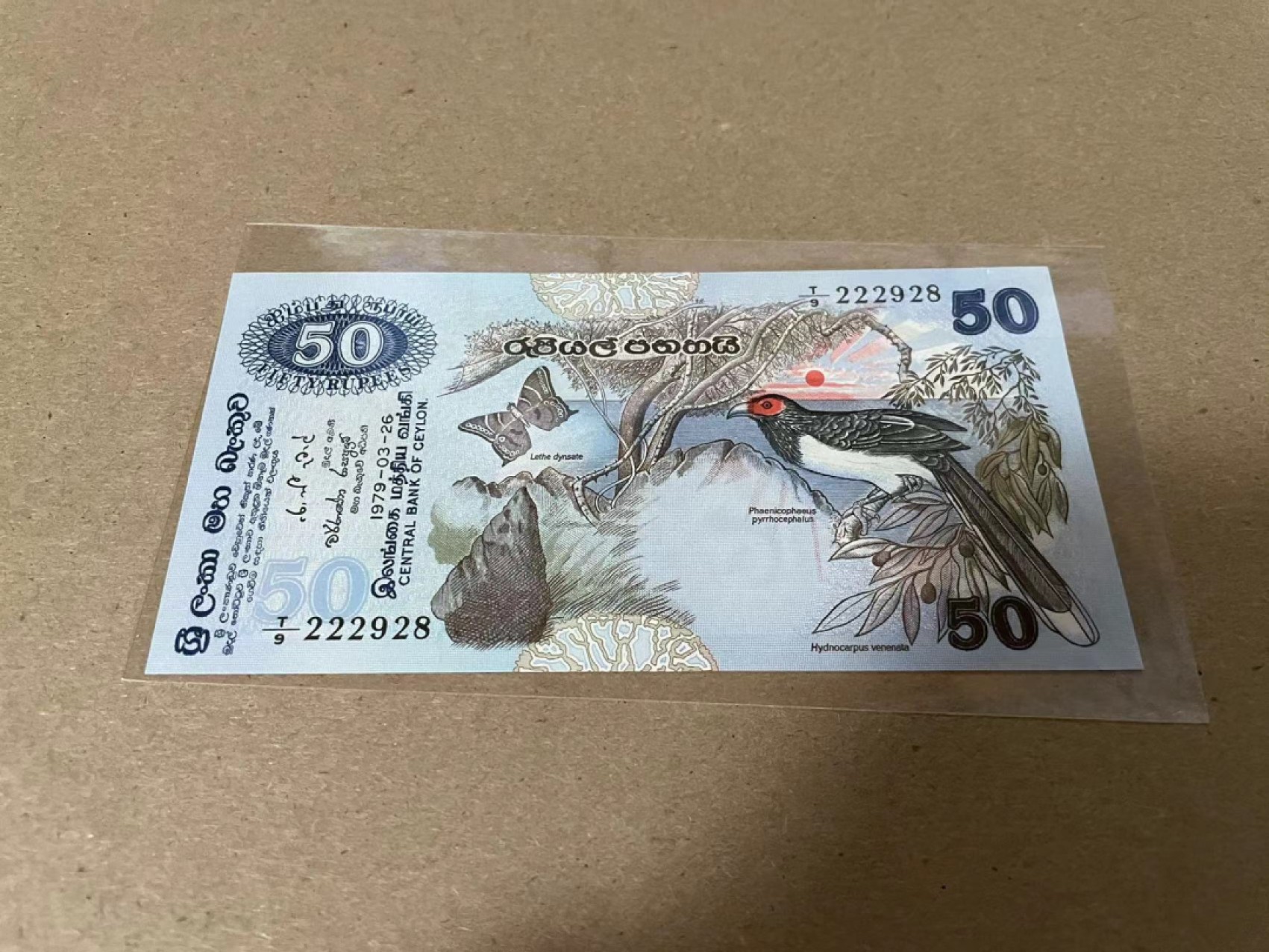 【Blue Auction】✨世界纸币精拍第214期 【精】 斯里兰卡 1979年50卢比 全新UNC