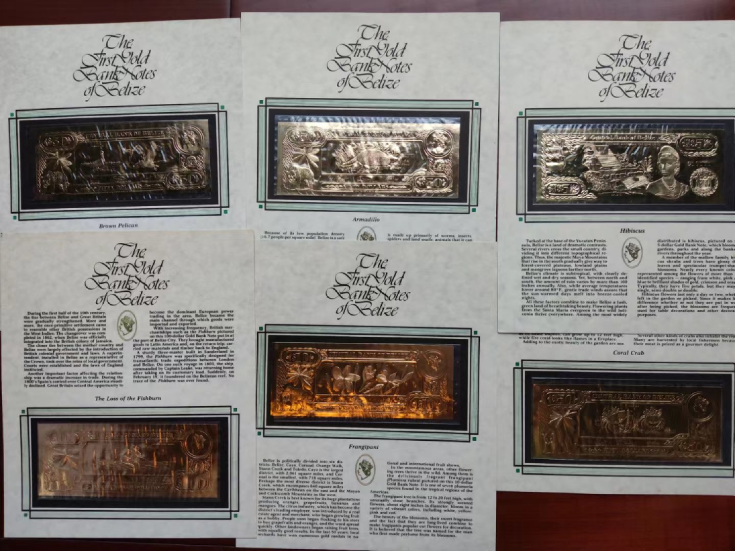 【Blue Auction】✨世界纸币精拍第214期 【精】 【原装带册 非后期复刻版 较少见品种 一组36张】伯利兹国家中央银行于1984年发行的法定货币，由22K黄金铸造，发行量25000套。正面是高冠女王，背面是伯利兹不同种类的花鸟、动物、海景。全套36张包含1元1张、2元2张、5元3张、10元4张、20元2张、25元6张、50元7张、75元5张100元6张。克劳斯纸币目录CS1，可评级。现在已停止免换。