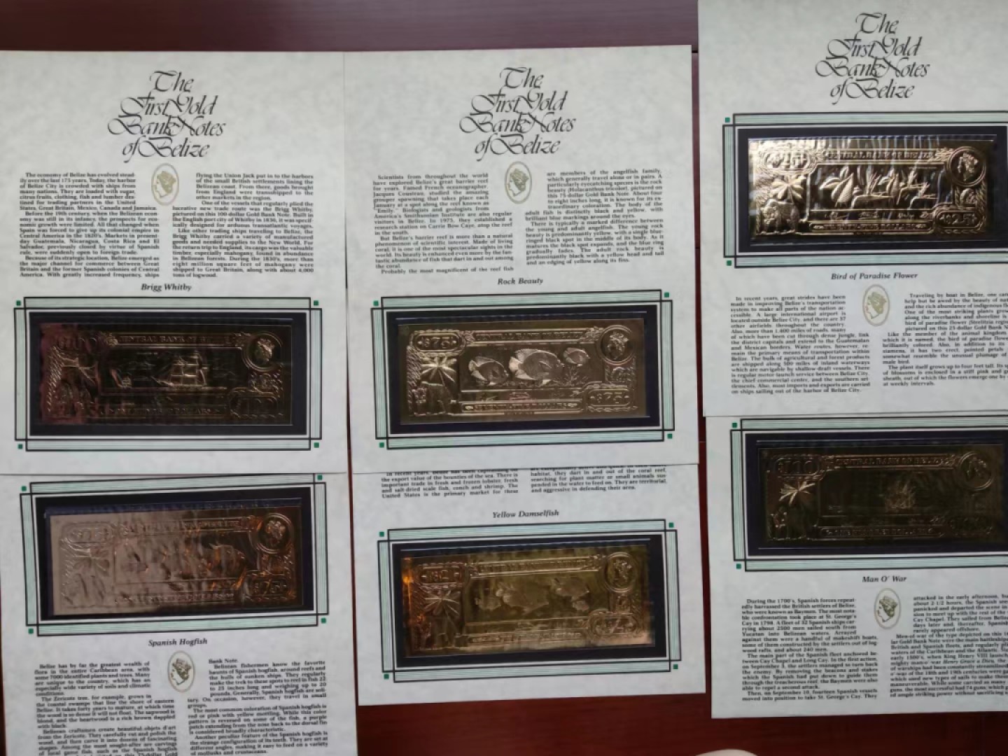 【Blue Auction】✨世界纸币精拍第214期 【精】 【原装带册 非后期复刻版 较少见品种 一组36张】伯利兹国家中央银行于1984年发行的法定货币，由22K黄金铸造，发行量25000套。正面是高冠女王，背面是伯利兹不同种类的花鸟、动物、海景。全套36张包含1元1张、2元2张、5元3张、10元4张、20元2张、25元6张、50元7张、75元5张100元6张。克劳斯纸币目录CS1，可评级。现在已停止免换。