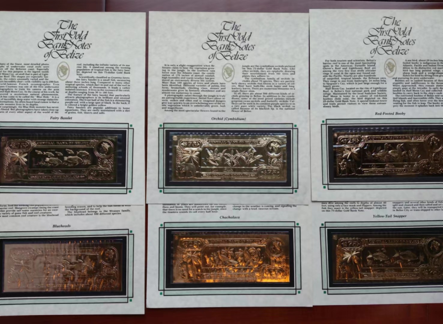 【Blue Auction】✨世界纸币精拍第214期 【精】 【原装带册 非后期复刻版 较少见品种 一组36张】伯利兹国家中央银行于1984年发行的法定货币，由22K黄金铸造，发行量25000套。正面是高冠女王，背面是伯利兹不同种类的花鸟、动物、海景。全套36张包含1元1张、2元2张、5元3张、10元4张、20元2张、25元6张、50元7张、75元5张100元6张。克劳斯纸币目录CS1，可评级。现在已停止免换。