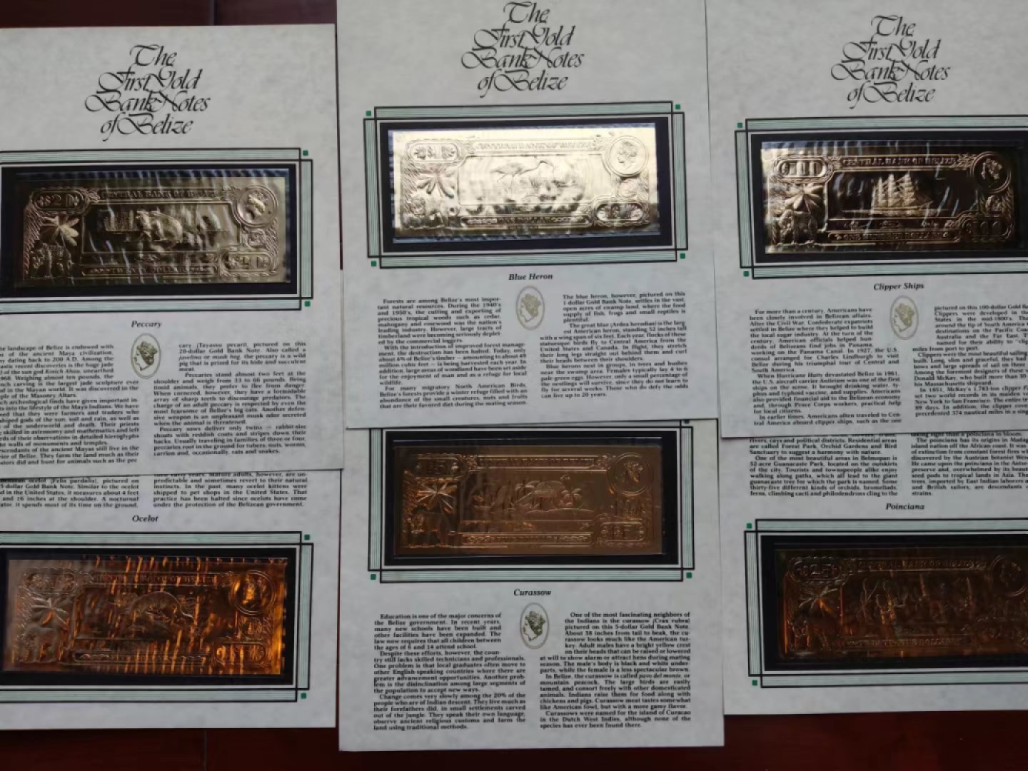 【Blue Auction】✨世界纸币精拍第214期 【精】 【原装带册 非后期复刻版 较少见品种 一组36张】伯利兹国家中央银行于1984年发行的法定货币，由22K黄金铸造，发行量25000套。正面是高冠女王，背面是伯利兹不同种类的花鸟、动物、海景。全套36张包含1元1张、2元2张、5元3张、10元4张、20元2张、25元6张、50元7张、75元5张100元6张。克劳斯纸币目录CS1，可评级。现在已停止免换。