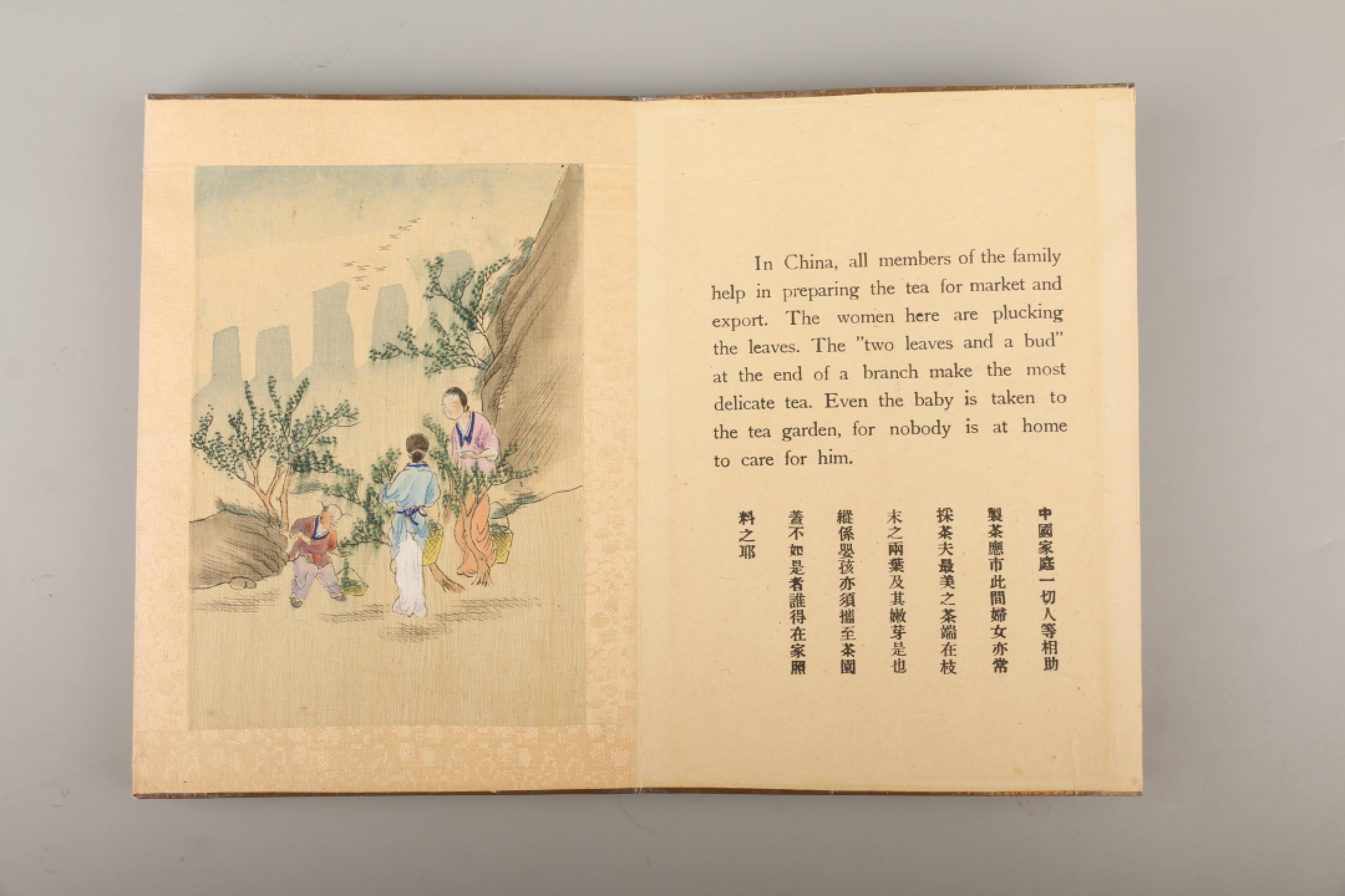 锦灰-中国书画、奏折文献、名人礼札、相片纸品专场 清 制茶全景图-纸本-21×15cm