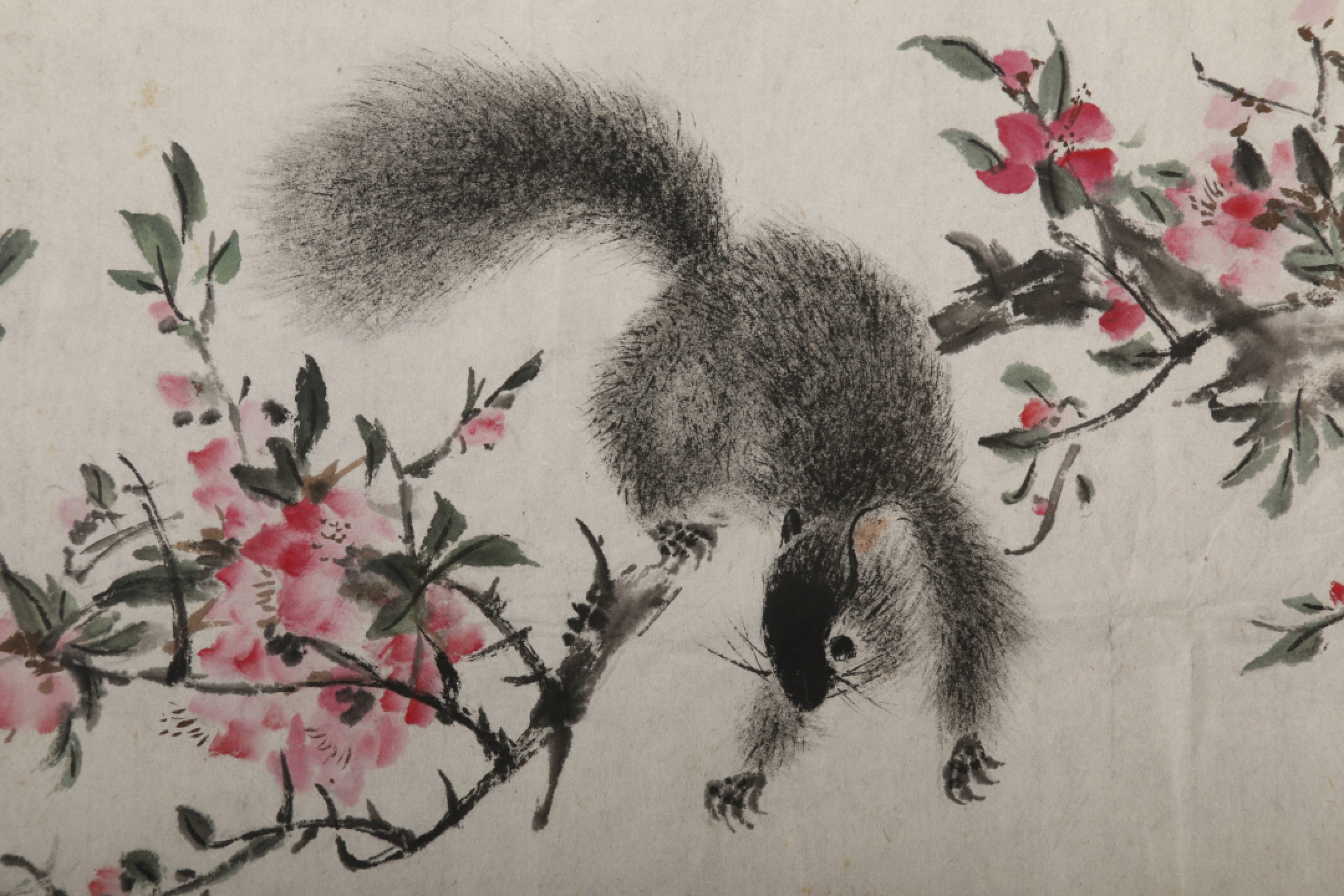 锦灰-中国书画、奏折文献、名人礼札、相片纸品专场 杨邨 松鼠花卉（四帧）-纸本 镜心-31.5×40.5cm×4