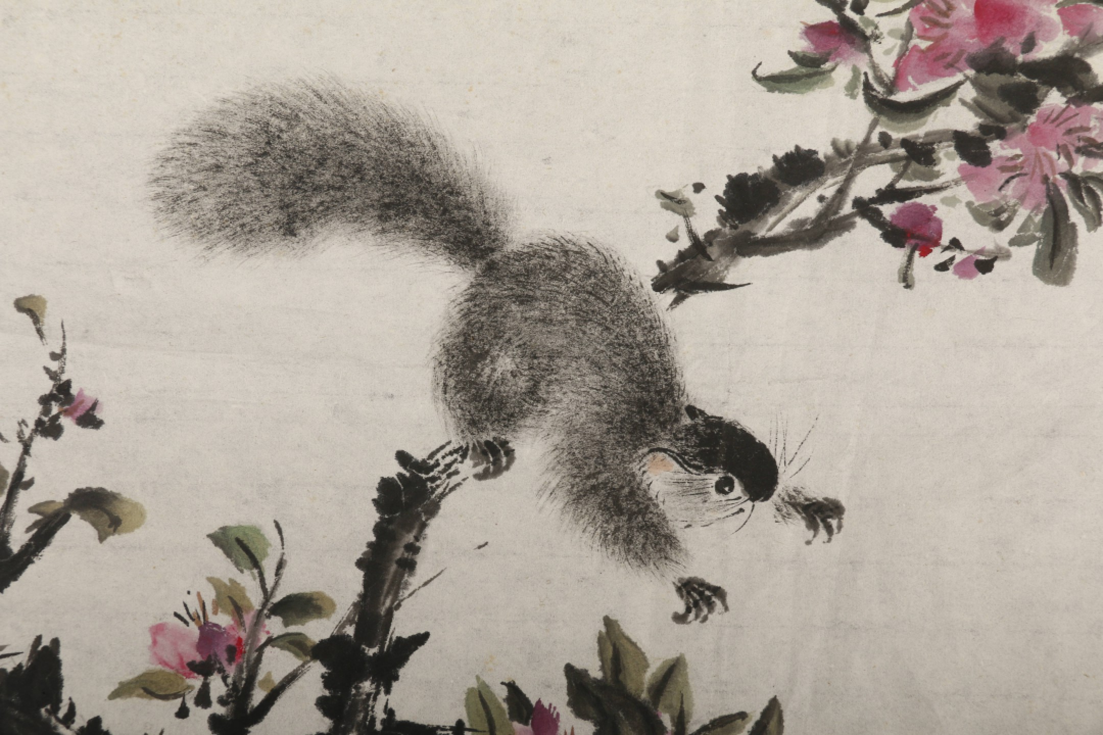 锦灰-中国书画、奏折文献、名人礼札、相片纸品专场 杨邨 松鼠花卉（四帧）-纸本 镜心-31.5×40.5cm×4