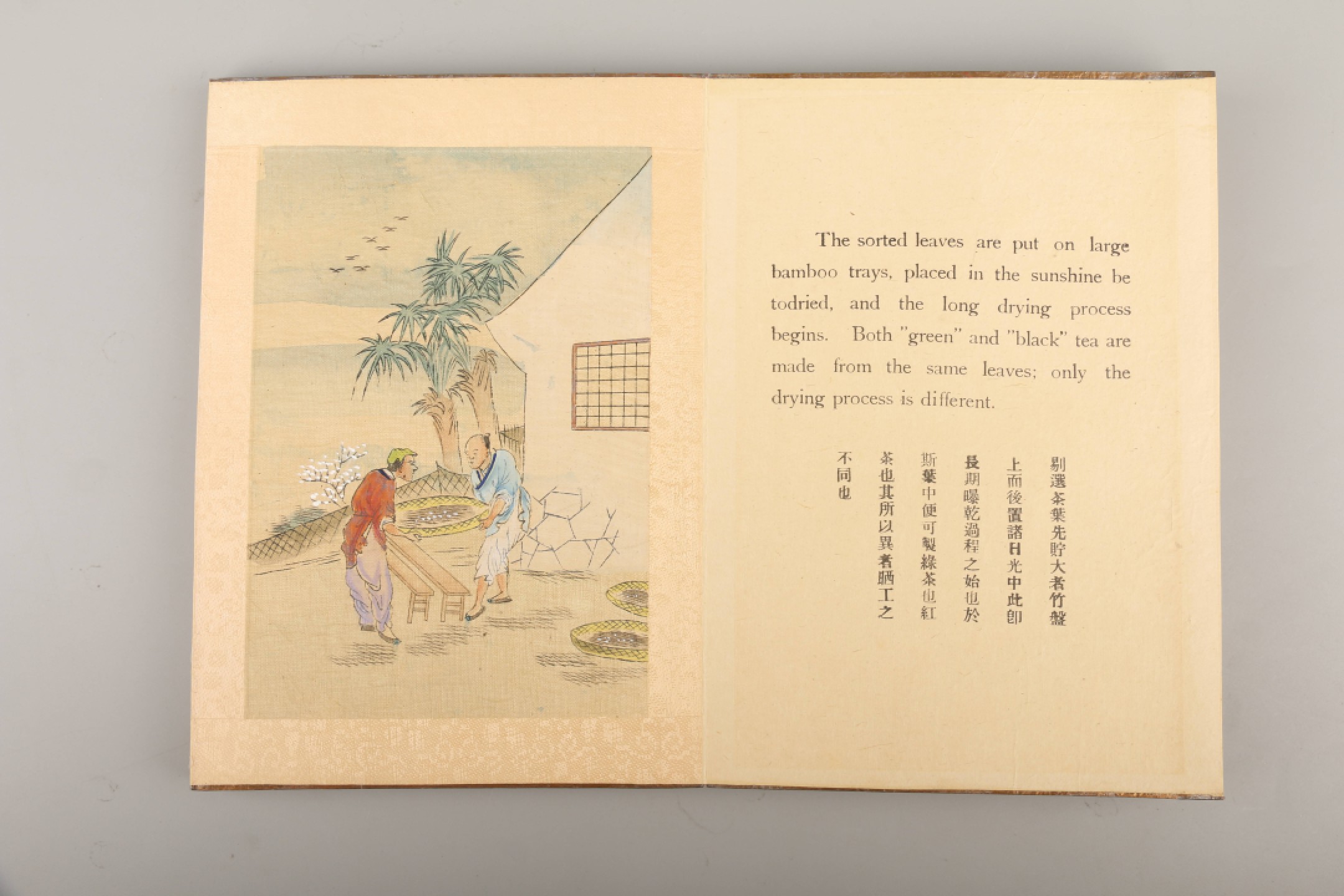 锦灰-中国书画、奏折文献、名人礼札、相片纸品专场 清 制茶全景图-纸本-21×15cm