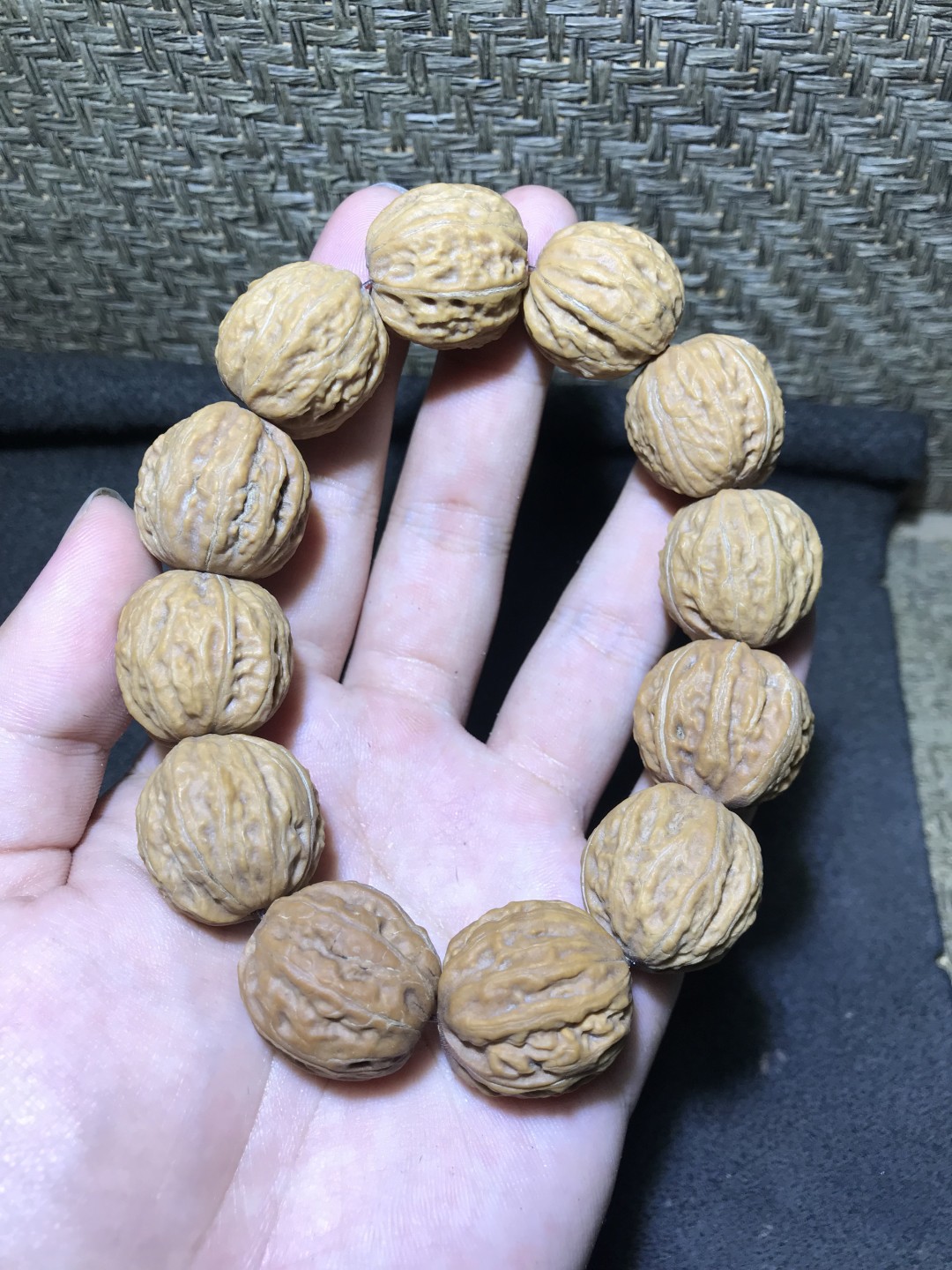 收藏级 纯野生 超级鲜肉 粗筋 粗棱 爆肉 闷墩 野生核桃手串一条！