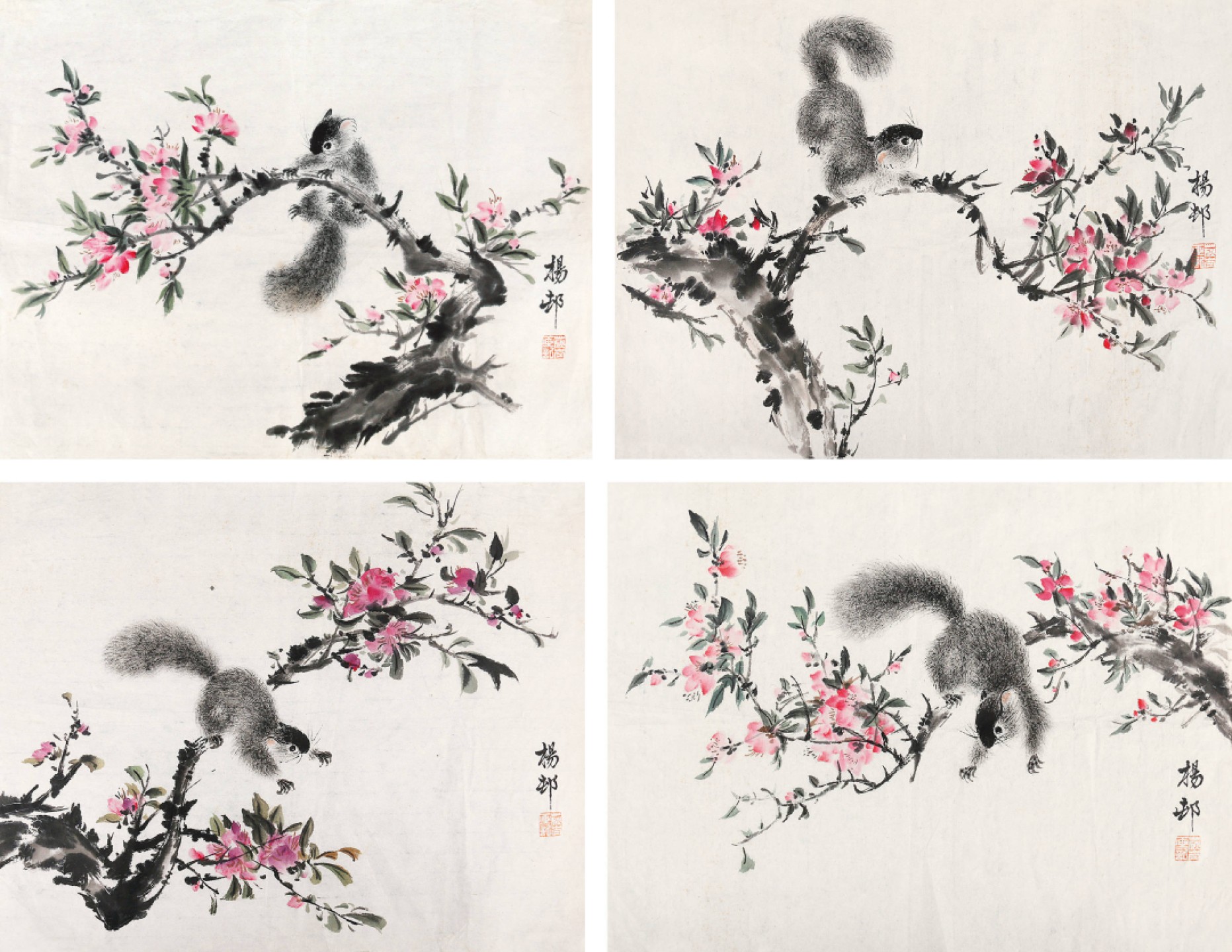 锦灰-中国书画、奏折文献、名人礼札、相片纸品专场 杨邨 松鼠花卉（四帧）-纸本 镜心-31.5×40.5cm×4