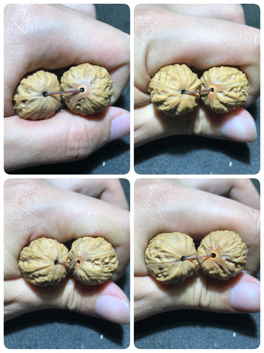 收藏级 纯野生 超级鲜肉 粗筋 粗棱 爆肉 闷墩 野生核桃手串一条！
