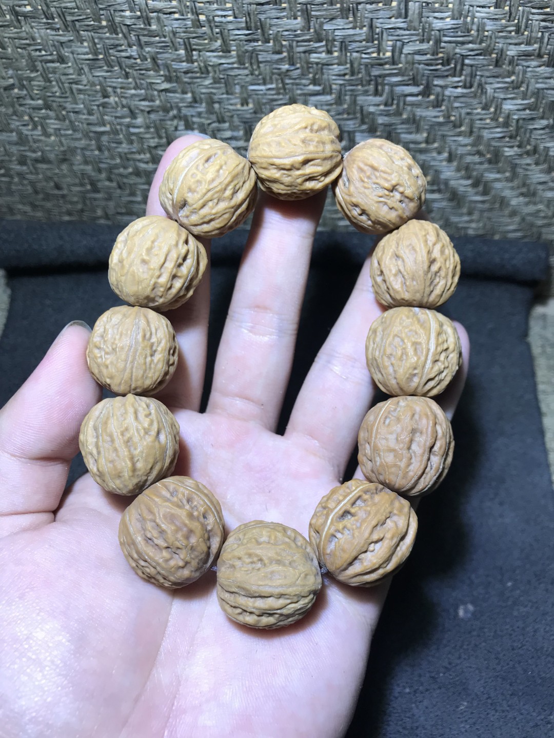 收藏级 纯野生 超级鲜肉 粗筋 粗棱 爆肉 闷墩 野生核桃手串一条！