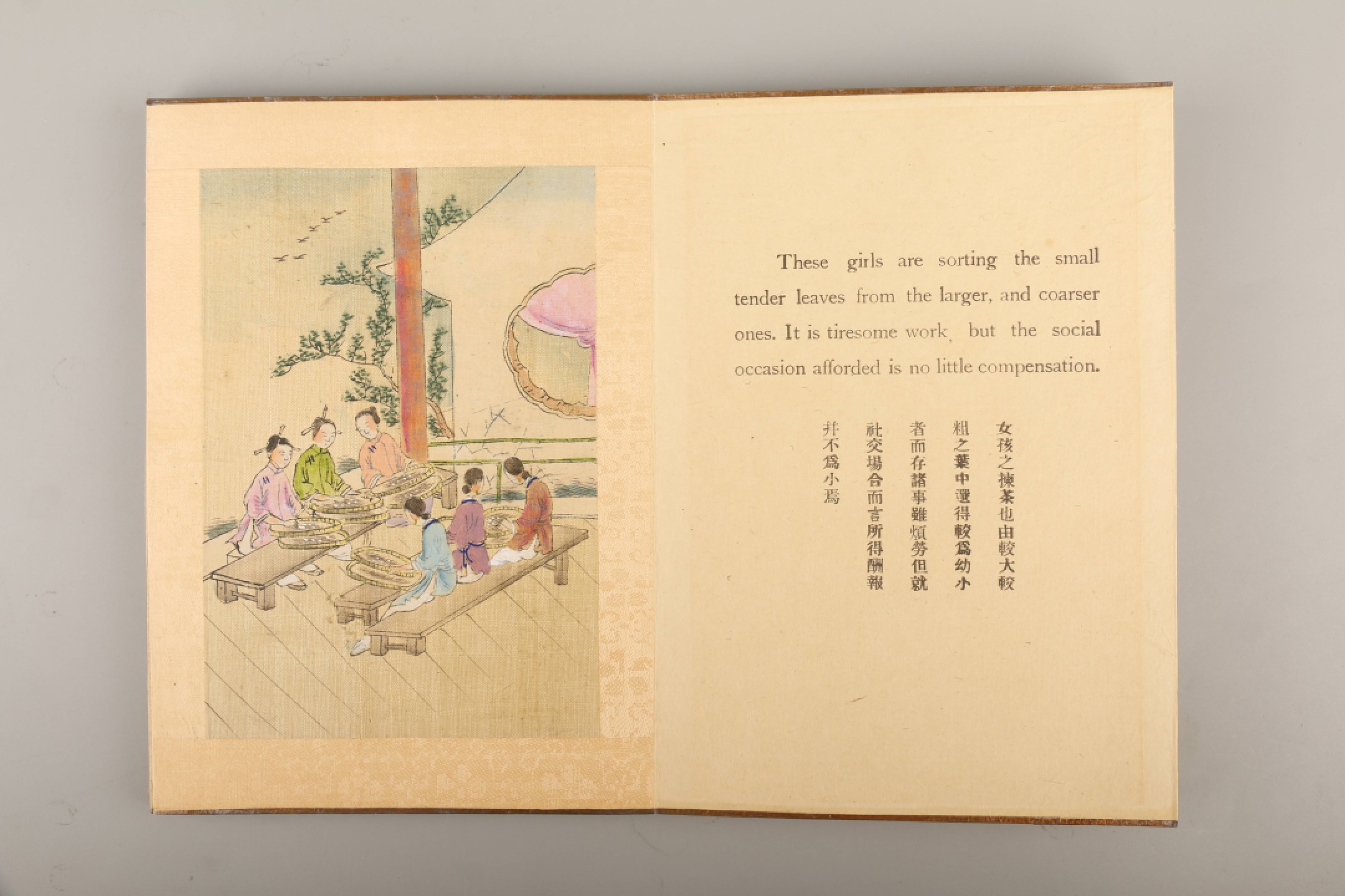 锦灰-中国书画、奏折文献、名人礼札、相片纸品专场 清 制茶全景图-纸本-21×15cm