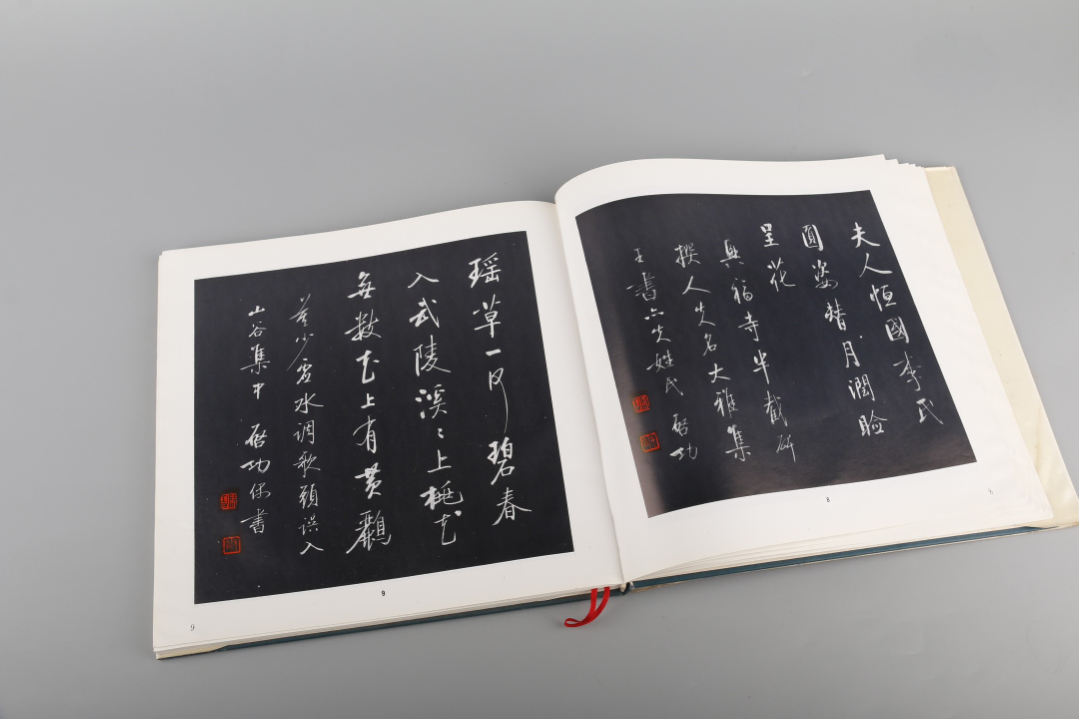 锦灰-中国书画、奏折文献、名人礼札、相片纸品专场 启功 毛笔签名本《启功书法作品选》-纸本-25×25cm