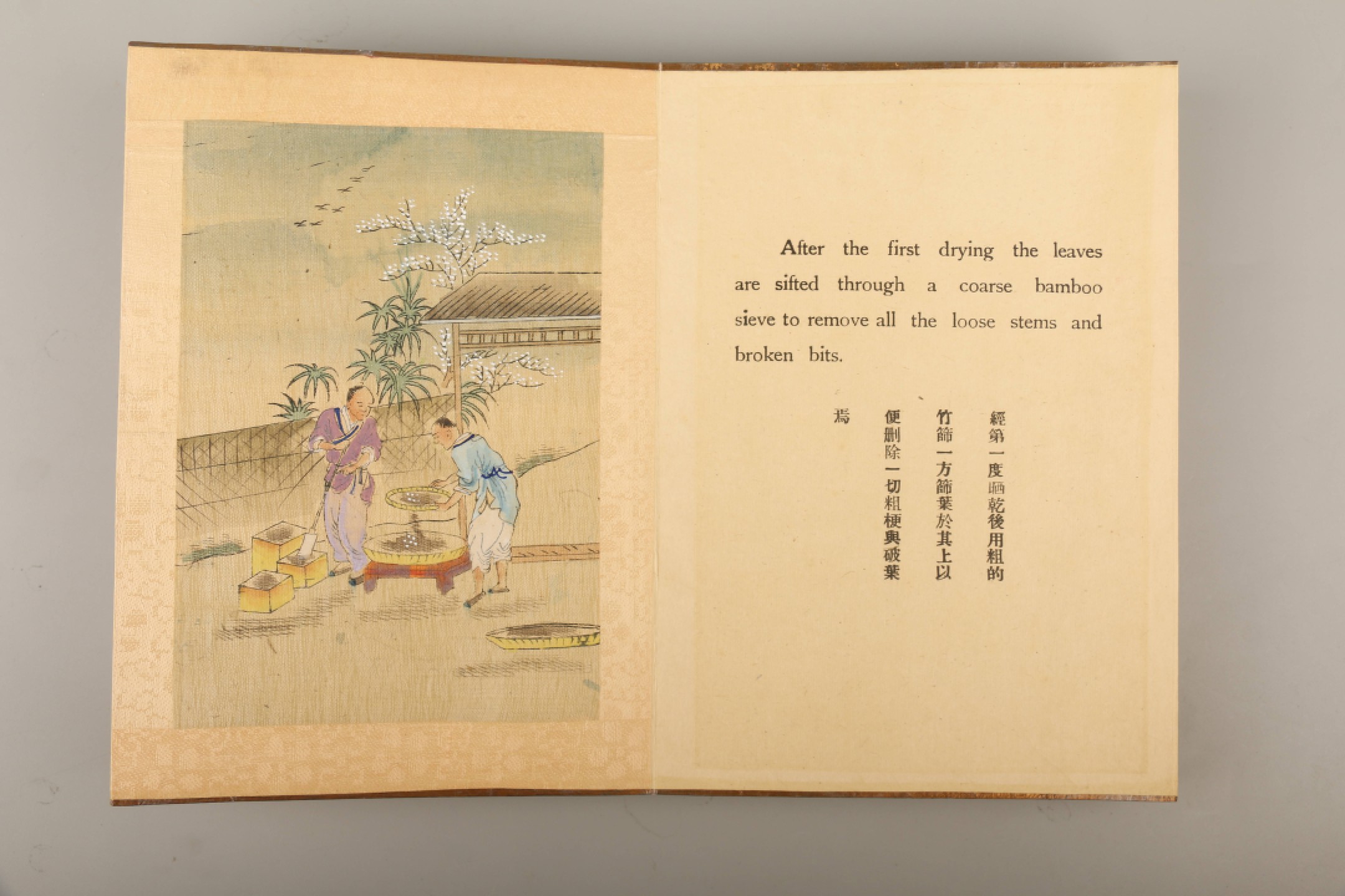 锦灰-中国书画、奏折文献、名人礼札、相片纸品专场 清 制茶全景图-纸本-21×15cm
