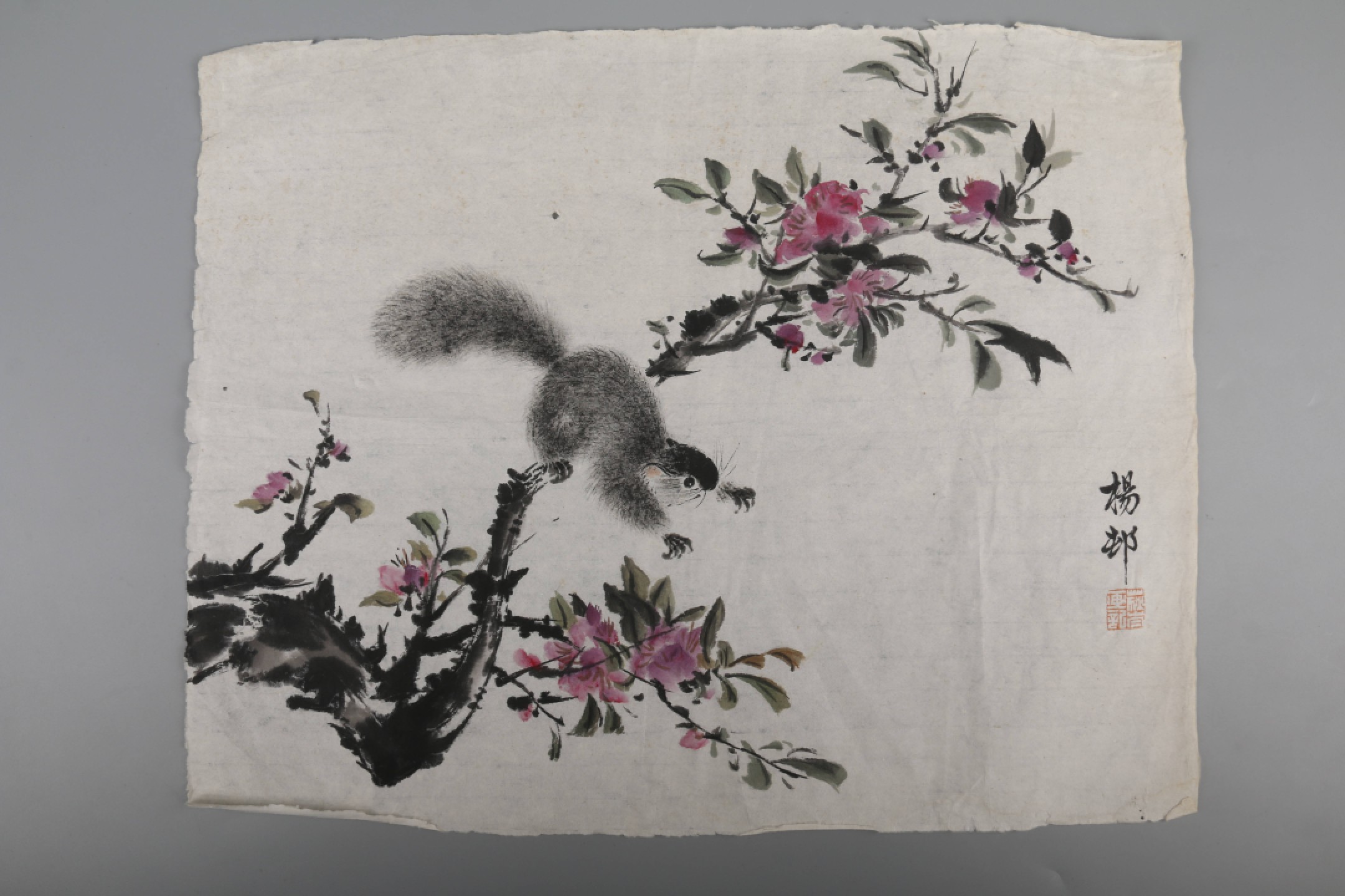 锦灰-中国书画、奏折文献、名人礼札、相片纸品专场 杨邨 松鼠花卉（四帧）-纸本 镜心-31.5×40.5cm×4