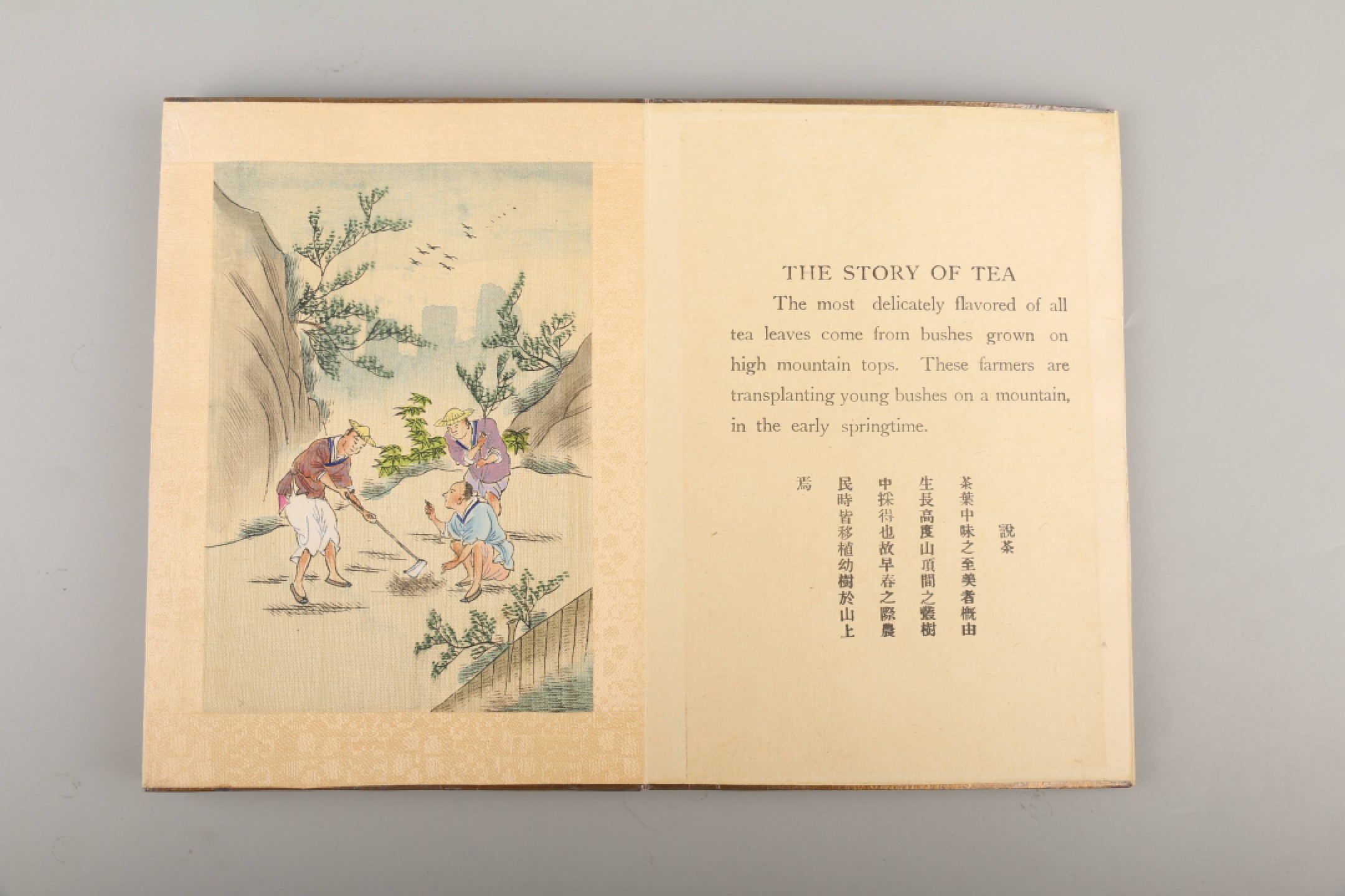 锦灰-中国书画、奏折文献、名人礼札、相片纸品专场 清 制茶全景图-纸本-21×15cm