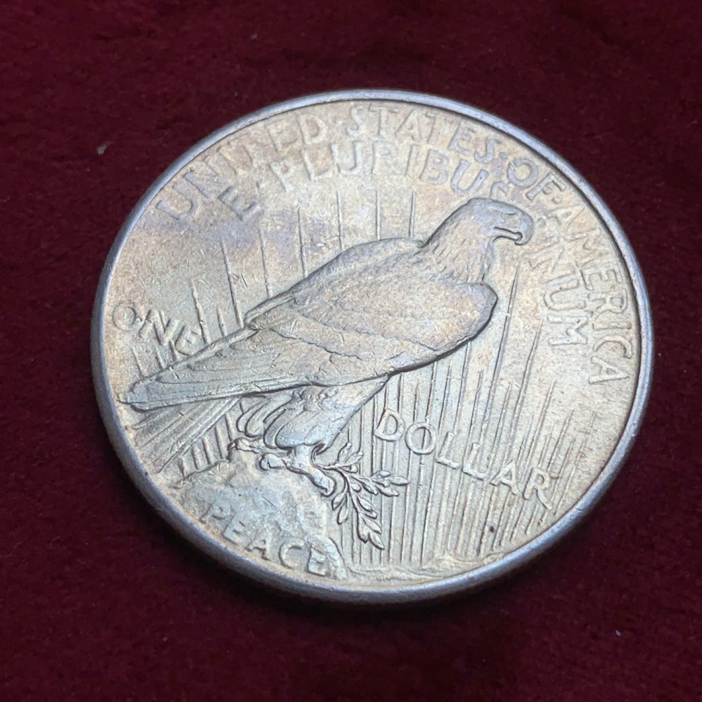 《竞宝斋》第85场-本周日，周一2场连拍（全场不限金额包邮） 美国 1925年 和平 银币 淡金包浆 不错