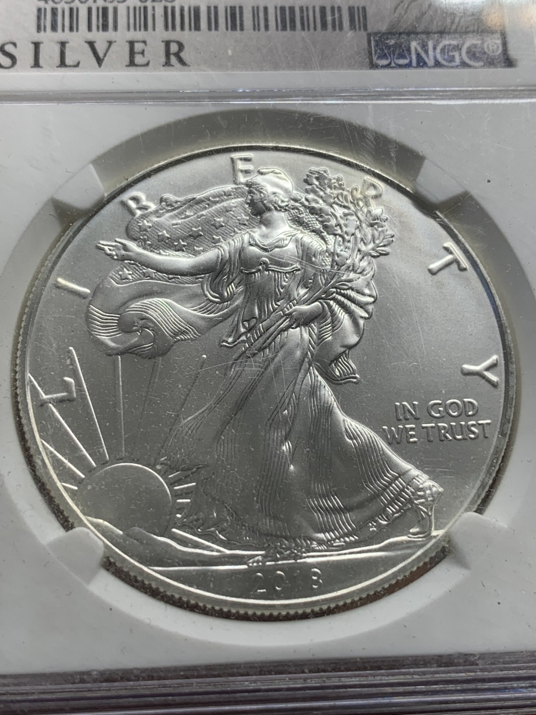 《竞宝斋》第85场-本周日，周一2场连拍（全场不限金额包邮） NGC-MS69  美国 2018年 自由女神 1美元银币 