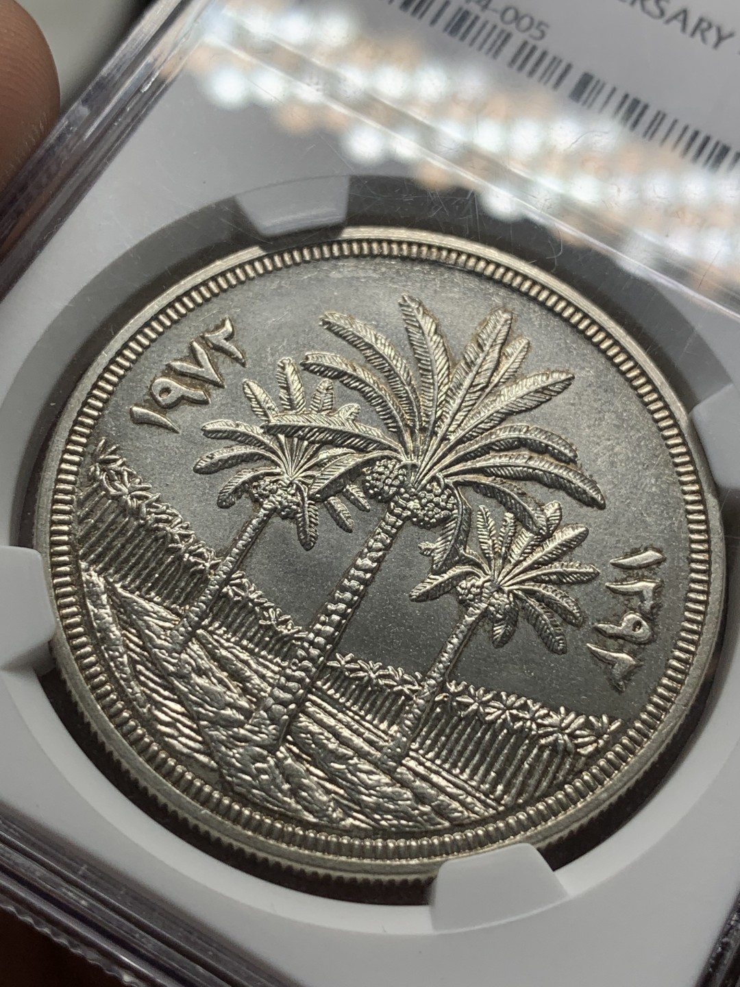 《竞宝斋》第85场-本周日，周一2场连拍（全场不限金额包邮） NGC MS65 伊拉克 1972年 椰枣树  大银币 回不去的时代