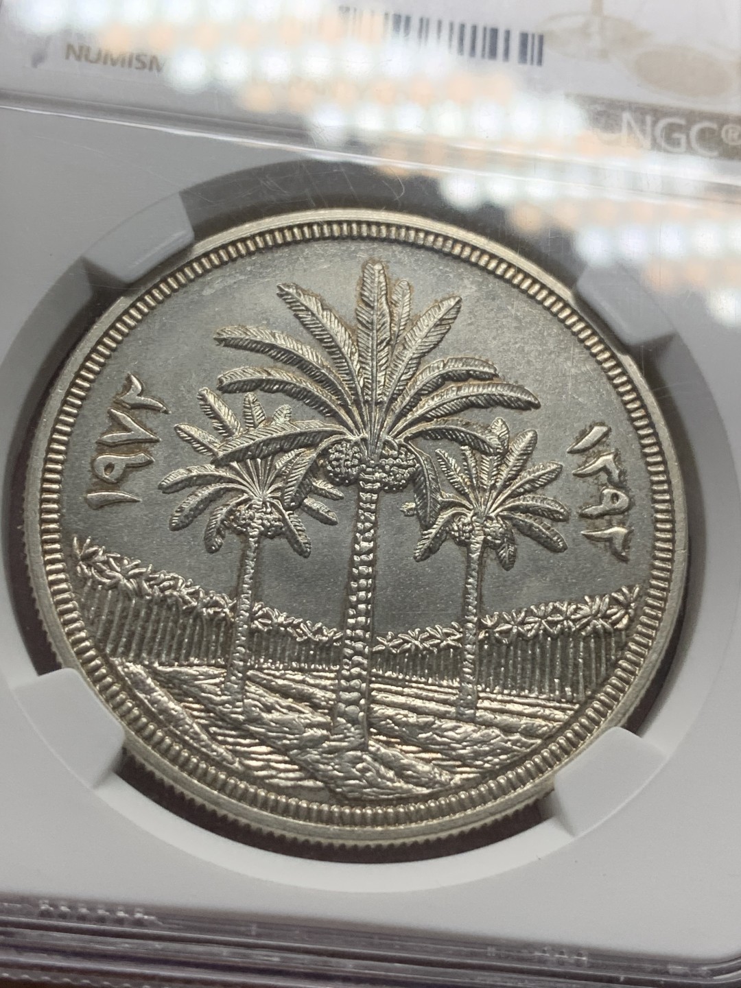 《竞宝斋》第85场-本周日，周一2场连拍（全场不限金额包邮） NGC MS65 伊拉克 1972年 椰枣树  大银币 回不去的时代