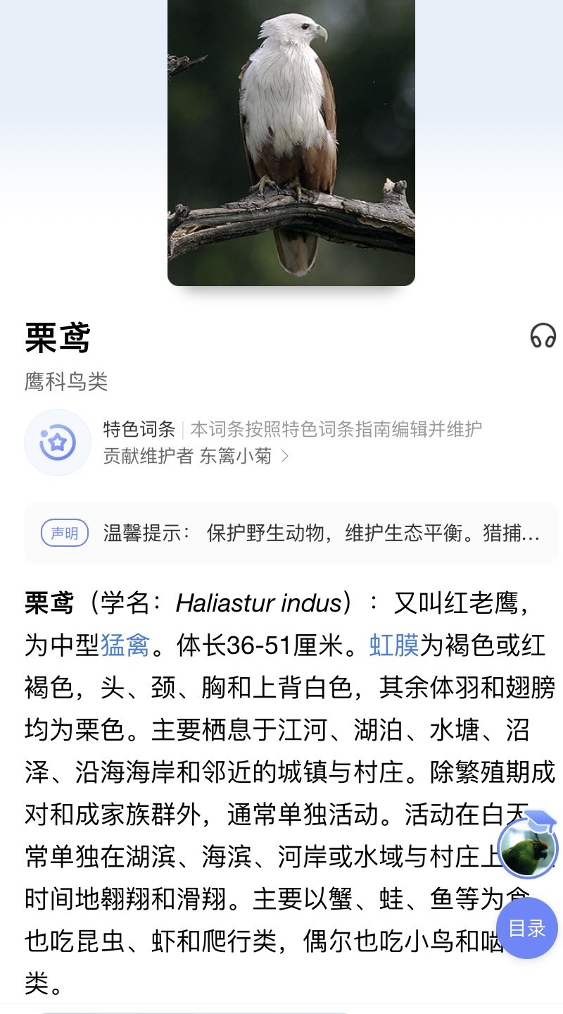 收藏联盟Quantum Auction 第185期拍卖 新加坡1978年1000元 PMG55 高面值稀少 栗鸢与大船