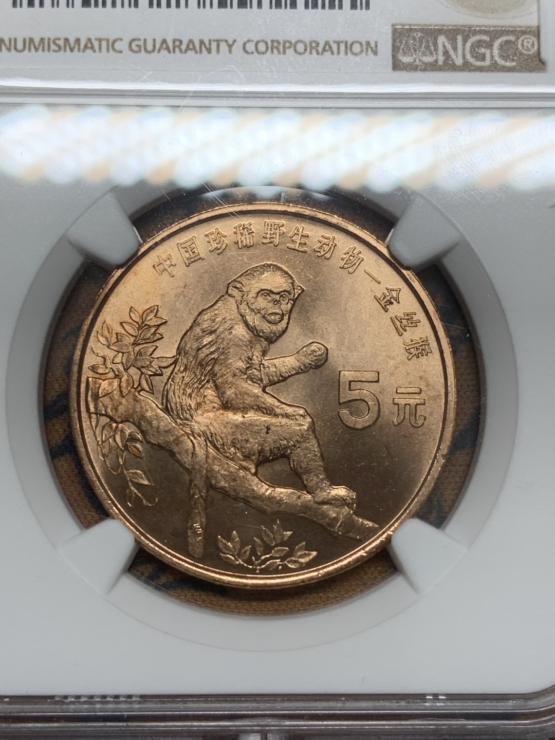 《竞宝斋》第85场-本周日，周一2场连拍（全场不限金额包邮） NGC-MS65RD 中国 1995年 珍稀野生动物 金丝猴 5元纪念币