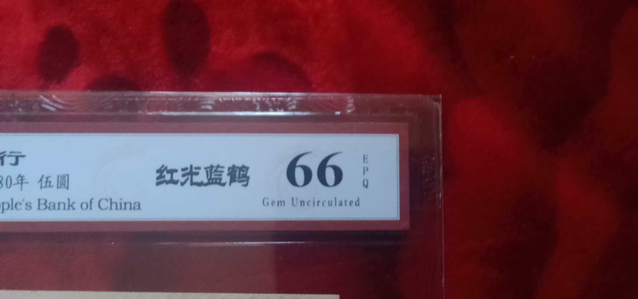 小英开心拍第581期 805红光蓝鹤一张，靓号天印评级