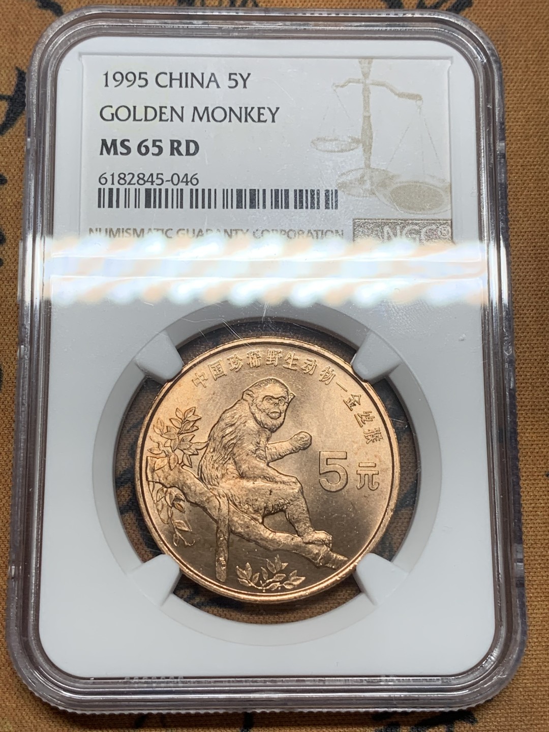 《竞宝斋》第85场-本周日，周一2场连拍（全场不限金额包邮） NGC-MS65RD 中国 1995年 珍稀野生动物 金丝猴 5元纪念币
