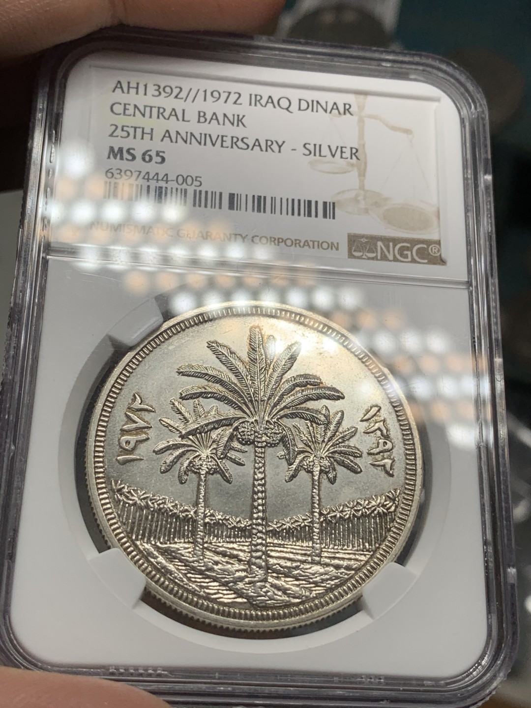 《竞宝斋》第85场-本周日，周一2场连拍（全场不限金额包邮） NGC MS65 伊拉克 1972年 椰枣树  大银币 回不去的时代