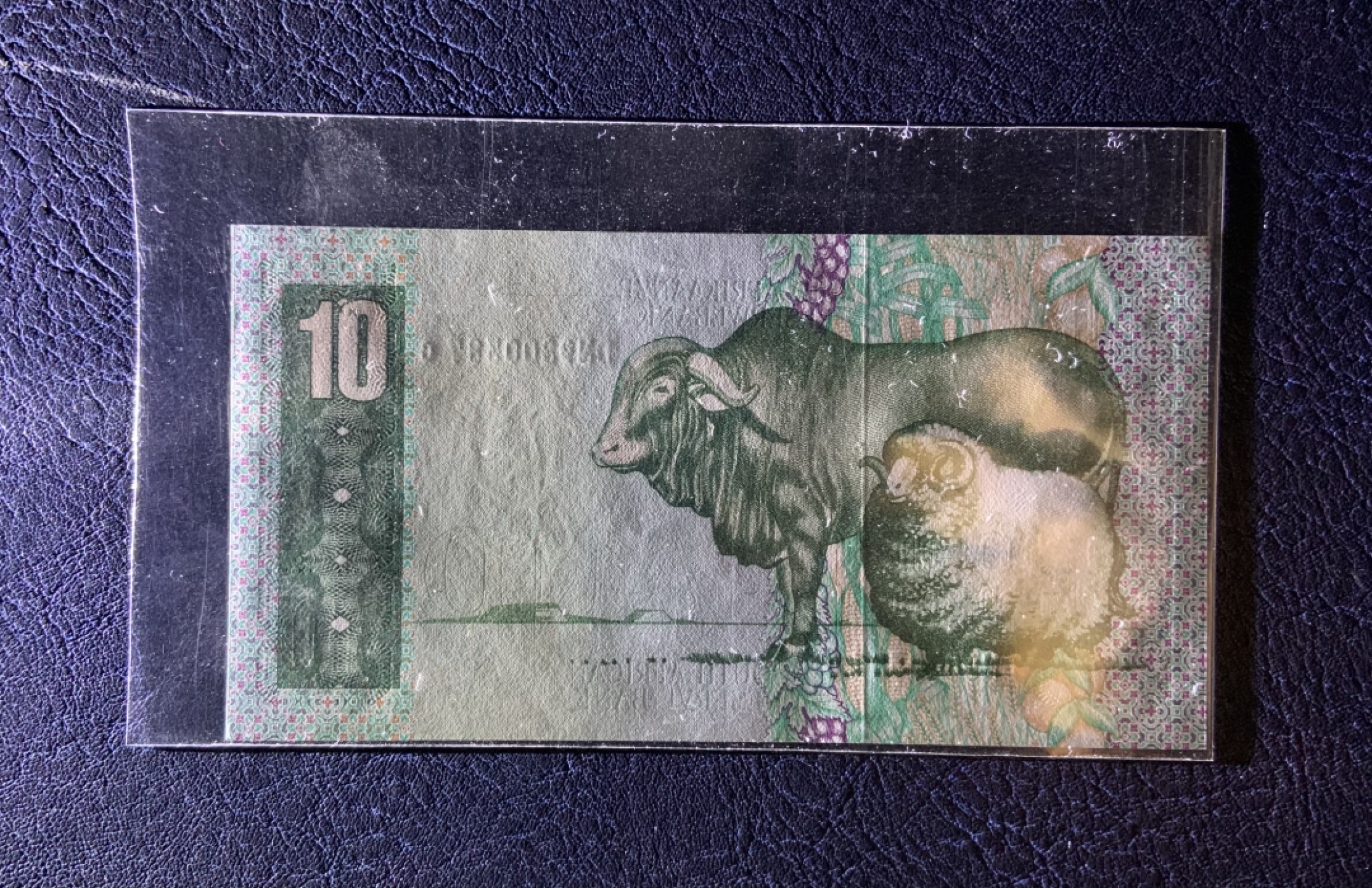 收藏联盟Quantum Auction 第185期拍卖 南非1978-1990年10兰特 品相全新UNC 大绵羊