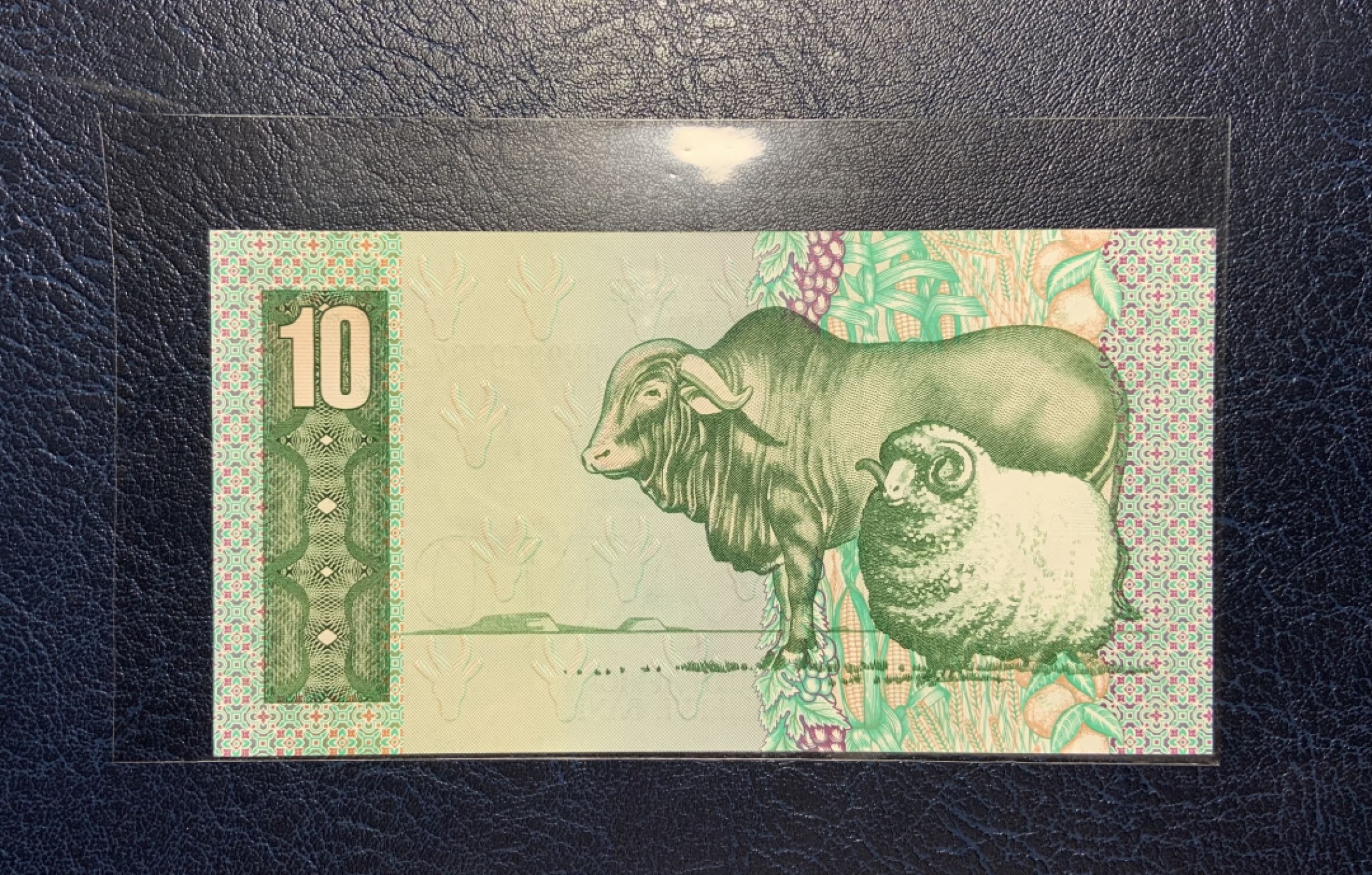 收藏联盟Quantum Auction 第185期拍卖 南非1978-1990年10兰特 品相全新UNC 大绵羊