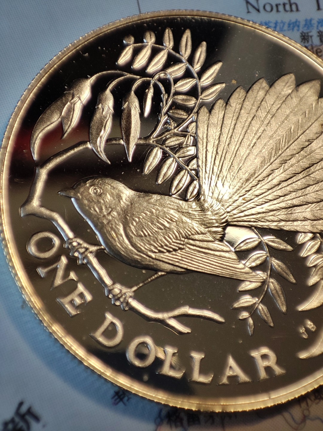 gush小明22818周四 新西兰鸟类精制银币