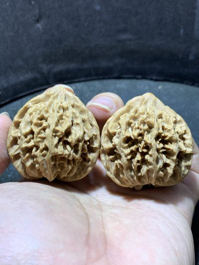 仅此一对，野生玲珑狮子头文玩核桃一对 - 仅此一对，野生玲珑狮子头文玩核桃一对
