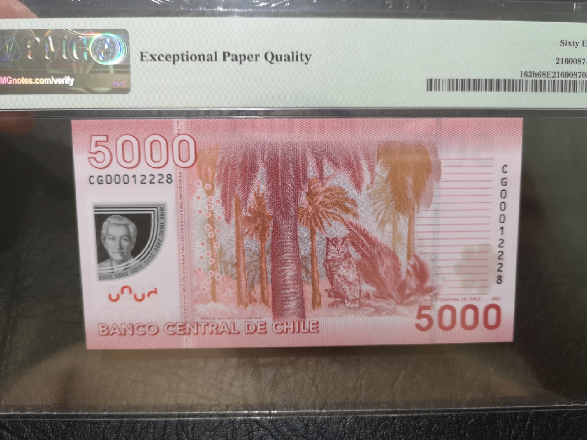 《外钞收藏家》第一百九十六期 2021年智利5000比索 PMG68超高分 无47尾8
