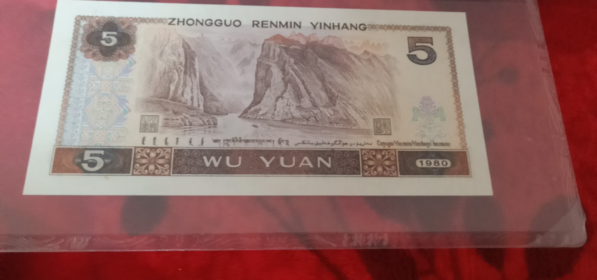 小英开心拍第583期 805红光蓝鹤一张，靓号天印评级