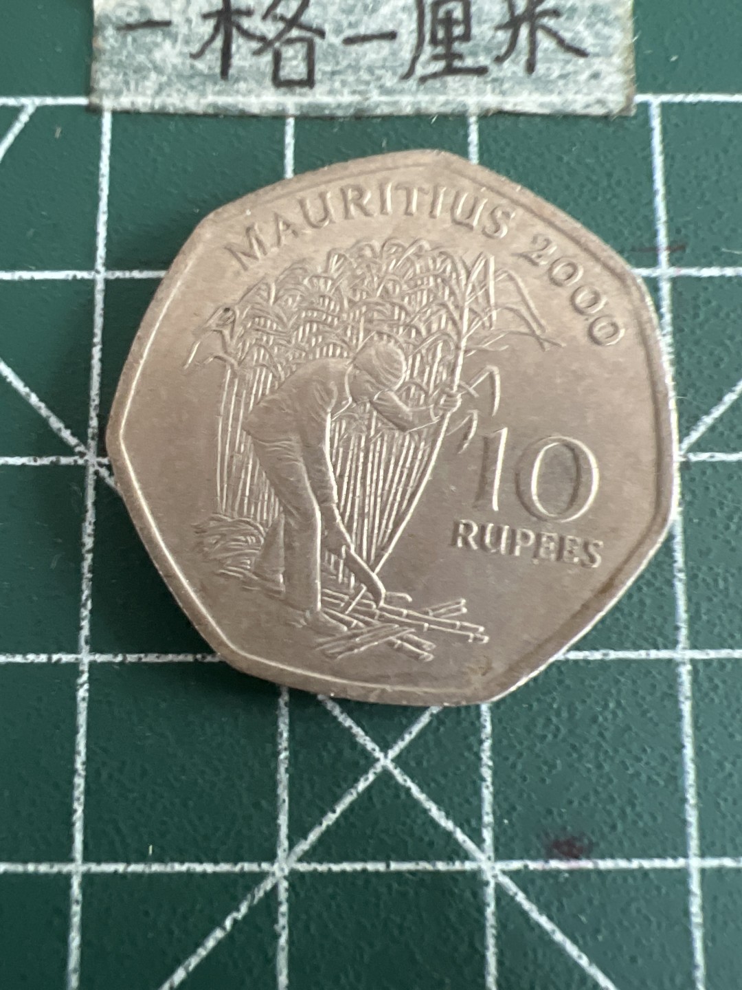 泡泡堂第六十期  世界硬币邮票专场（无押金，无佣金，捡漏，全场20包邮，偏远地区除外） 毛里求斯10卢比大币