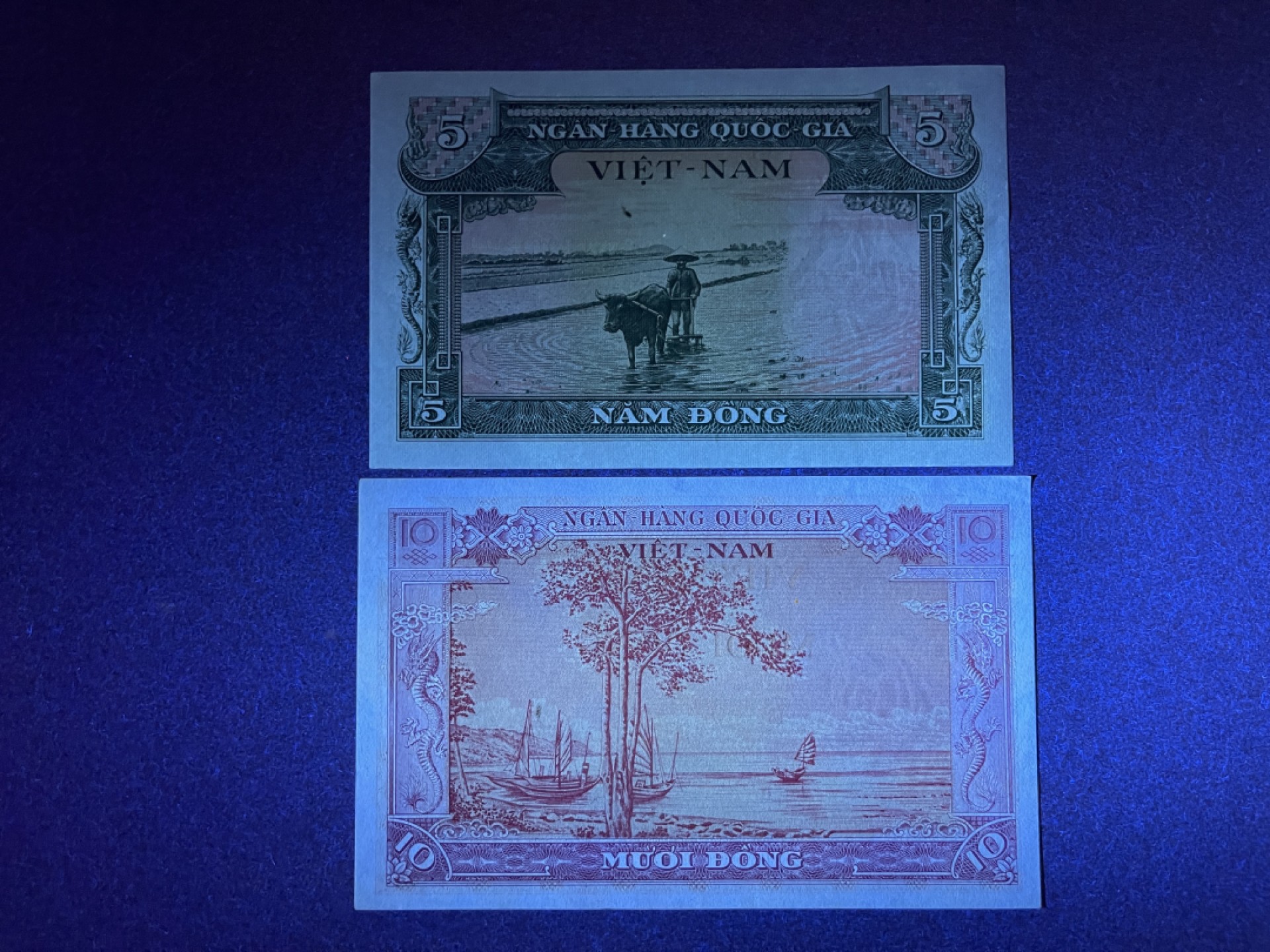 《张总收藏》69期——高分外币 越南5、10盾2张 UNC 1955年版