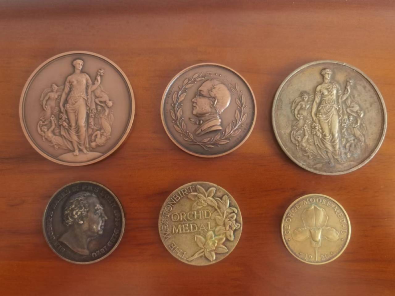 外章精选 英国皇家园艺协会六枚奖章