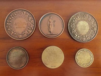 外章精选 - 英国皇家园艺协会六枚奖章