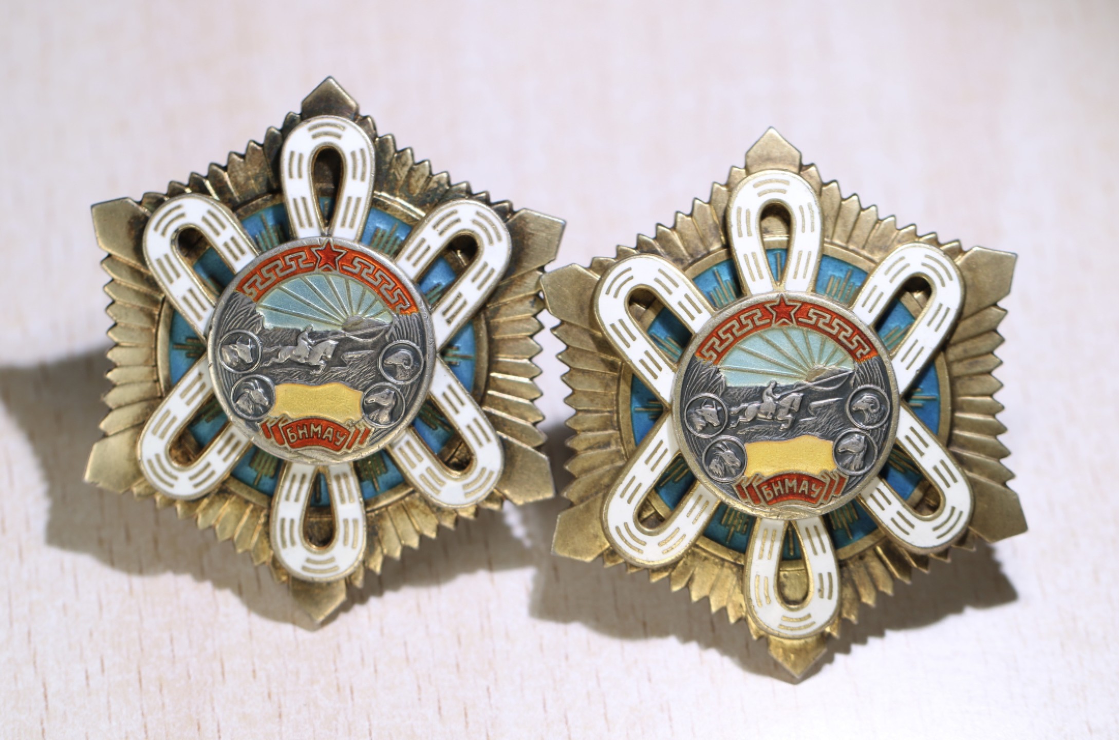 大猫徽章拍卖第200期 蒙古🇲🇳北极星勋章一对 好品