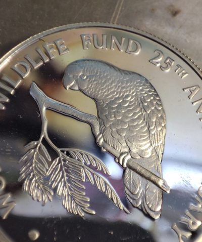 gush小明220825周四 WWF25周年开曼群岛银币