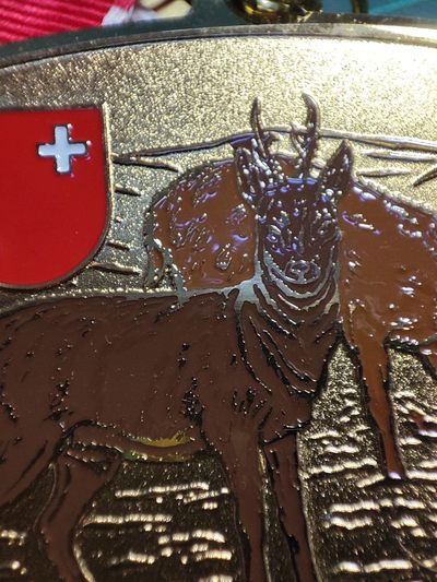 gush小明220825周四 瑞士射击节三枚一起顺丰包邮