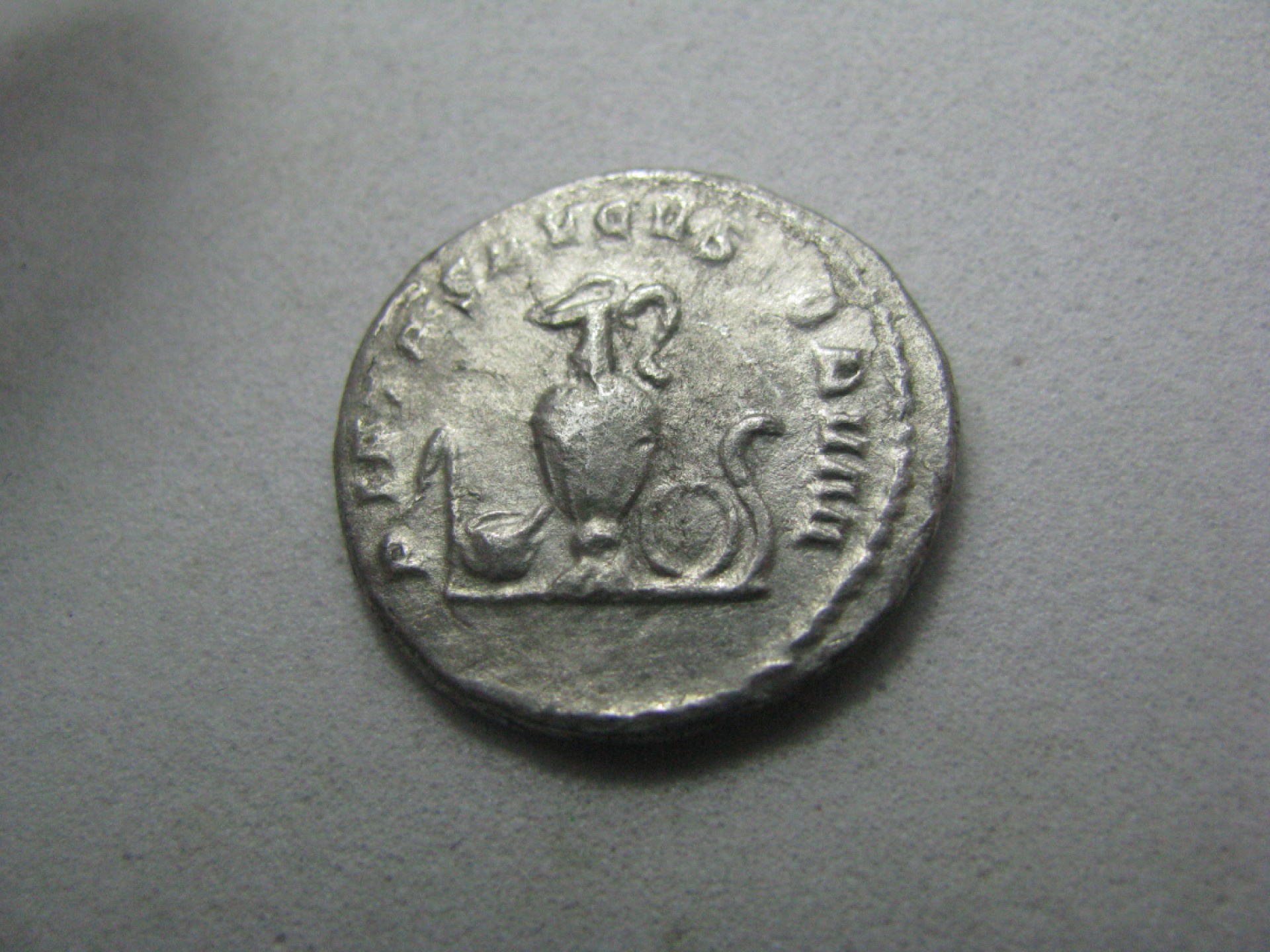 “王之爱好”~古罗马帝国钱币 赫伦尼乌斯 （AD 251）