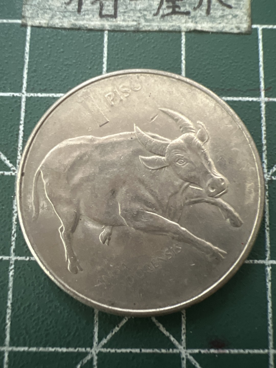 泡泡堂第六十五期  世界硬币专场（无押金，无佣金，捡漏，全场20包邮，偏远地区除外） 菲律宾牛大币