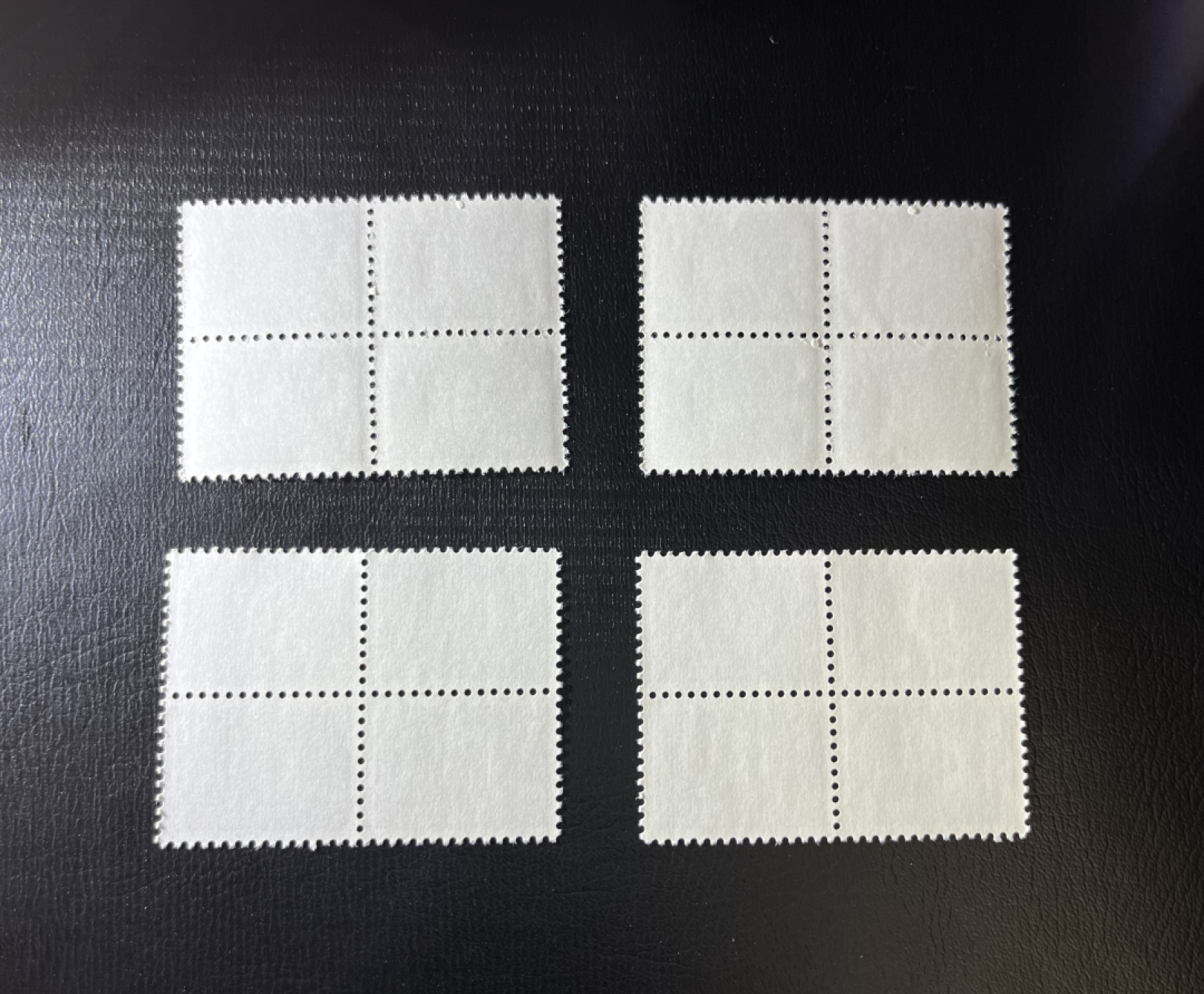 洪涛臻品  精选邮票限时拍卖第九期 普17新全  方连2组共8套  经典普票  版撕全品，必须收藏一组。注意捡漏