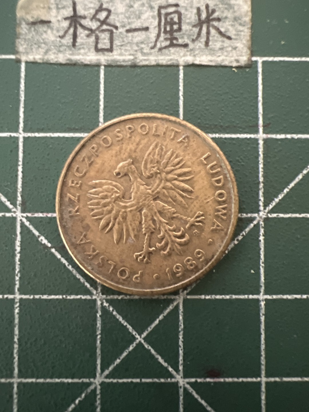 泡泡堂第六十六期  世界硬币专场（无押金，无佣金，捡漏，全场20包邮，偏远地区除外） 波兰10Zt