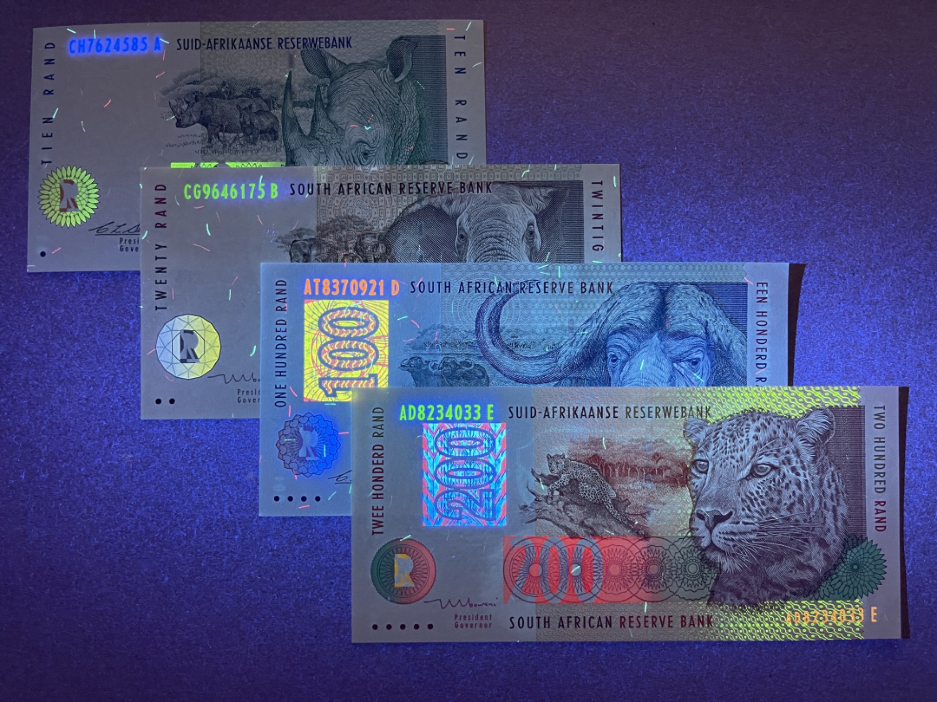 《张总收藏》70期——外币精品 南非10-200兰特4张 UNC 92-99年动物版老版本