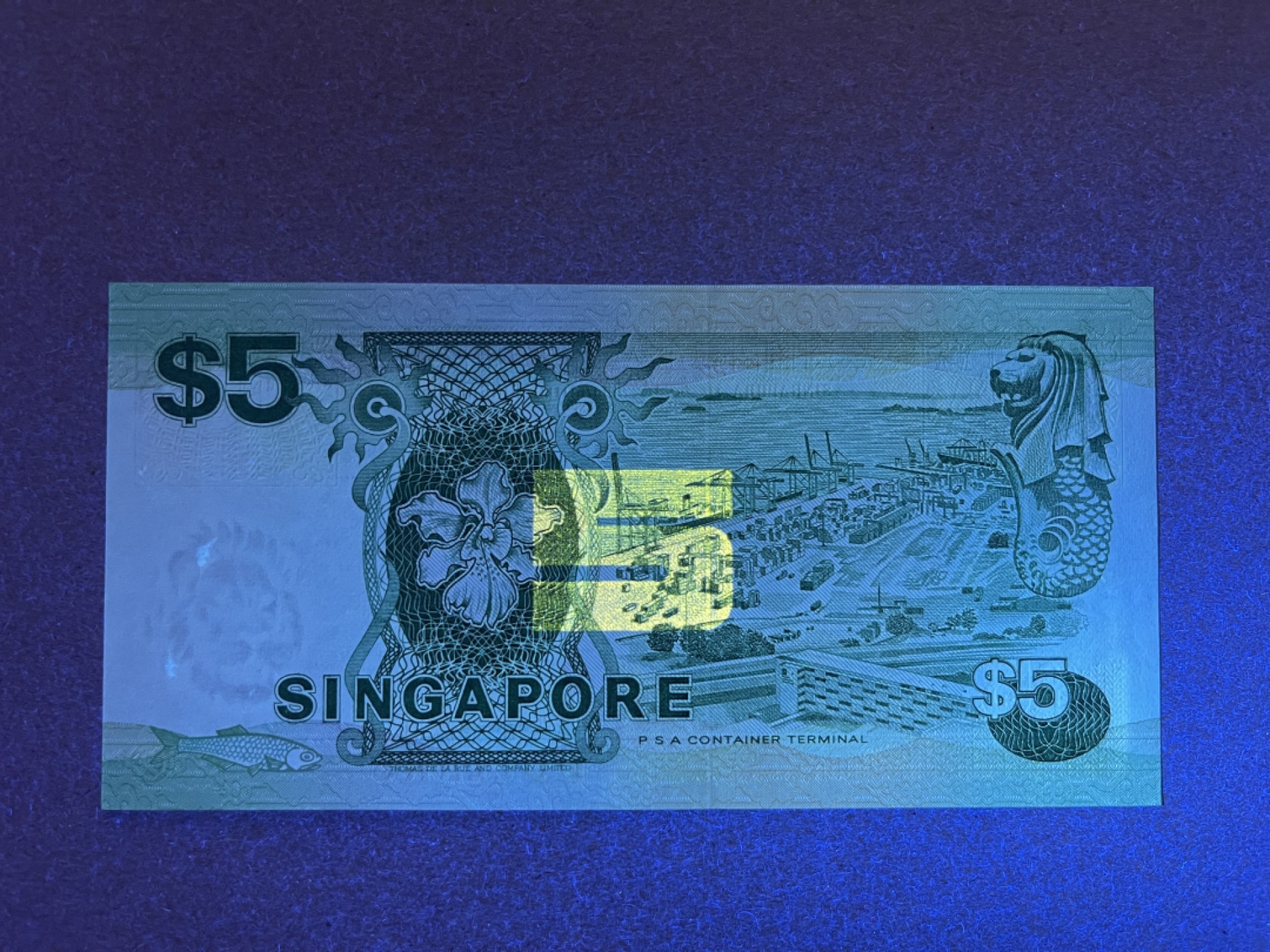 《张总收藏》70期——外币精品 新加坡5元 UNC 船版 1989年