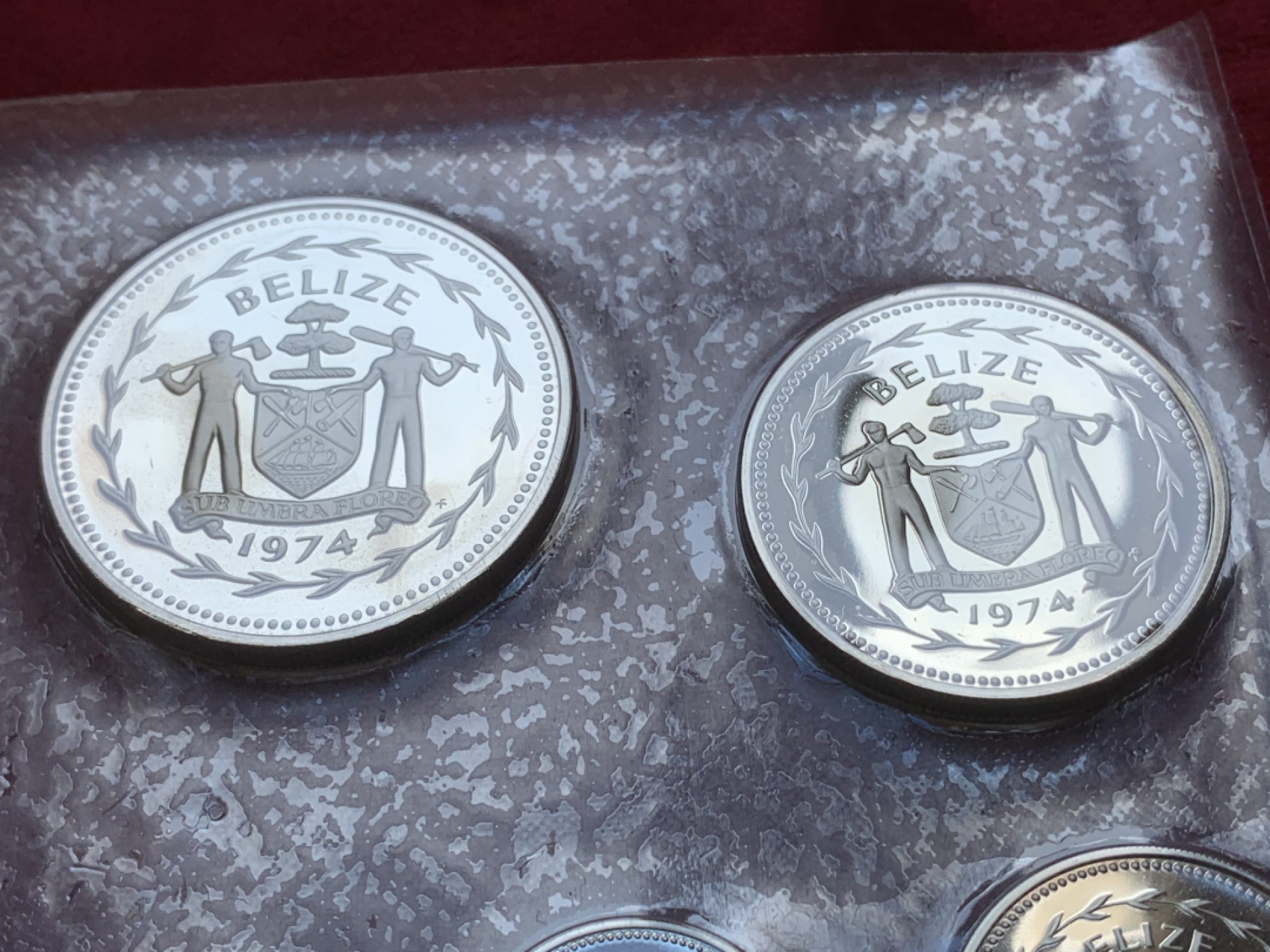 《竞宝斋》第89场-本周日，周一，周四，3场连拍（全场不限金额包邮） 原盒伯利兹1974年鸟类精制币 8枚套